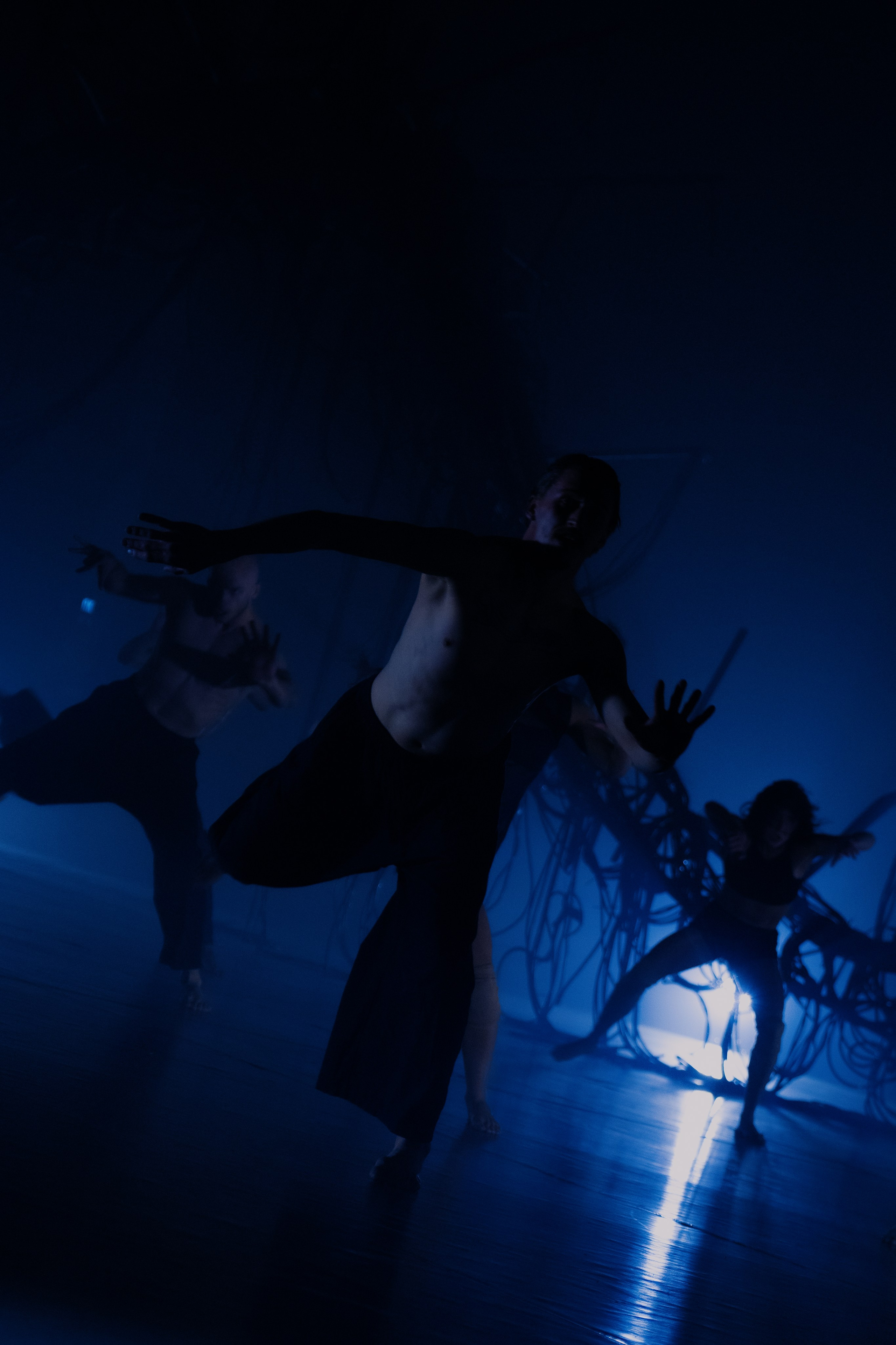 PERFORMA, The Hour of the Horse. @tomrus: Рустам Шагиморданов — фотограф