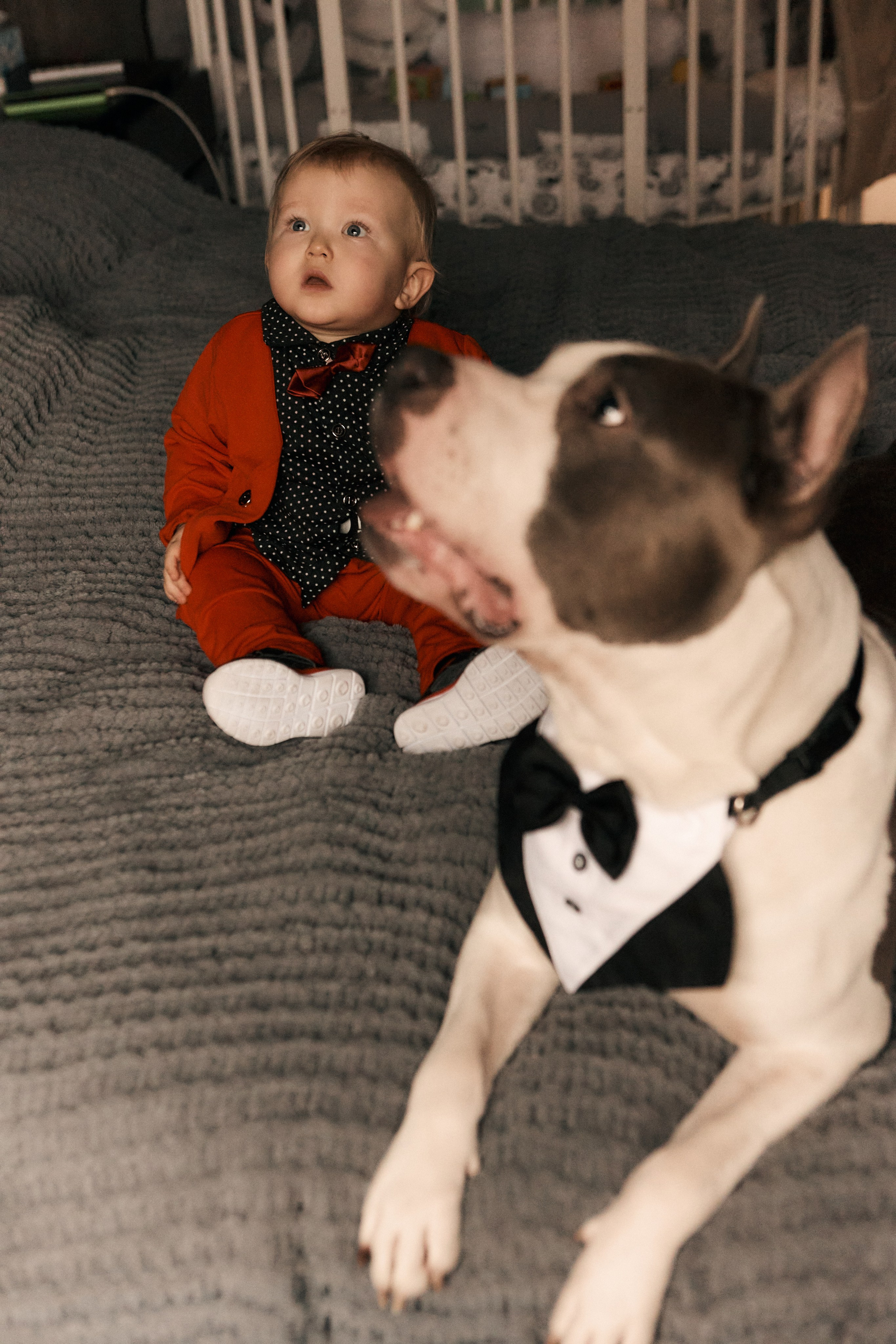 Семейная фотосессия дома и на прогулке в Москве