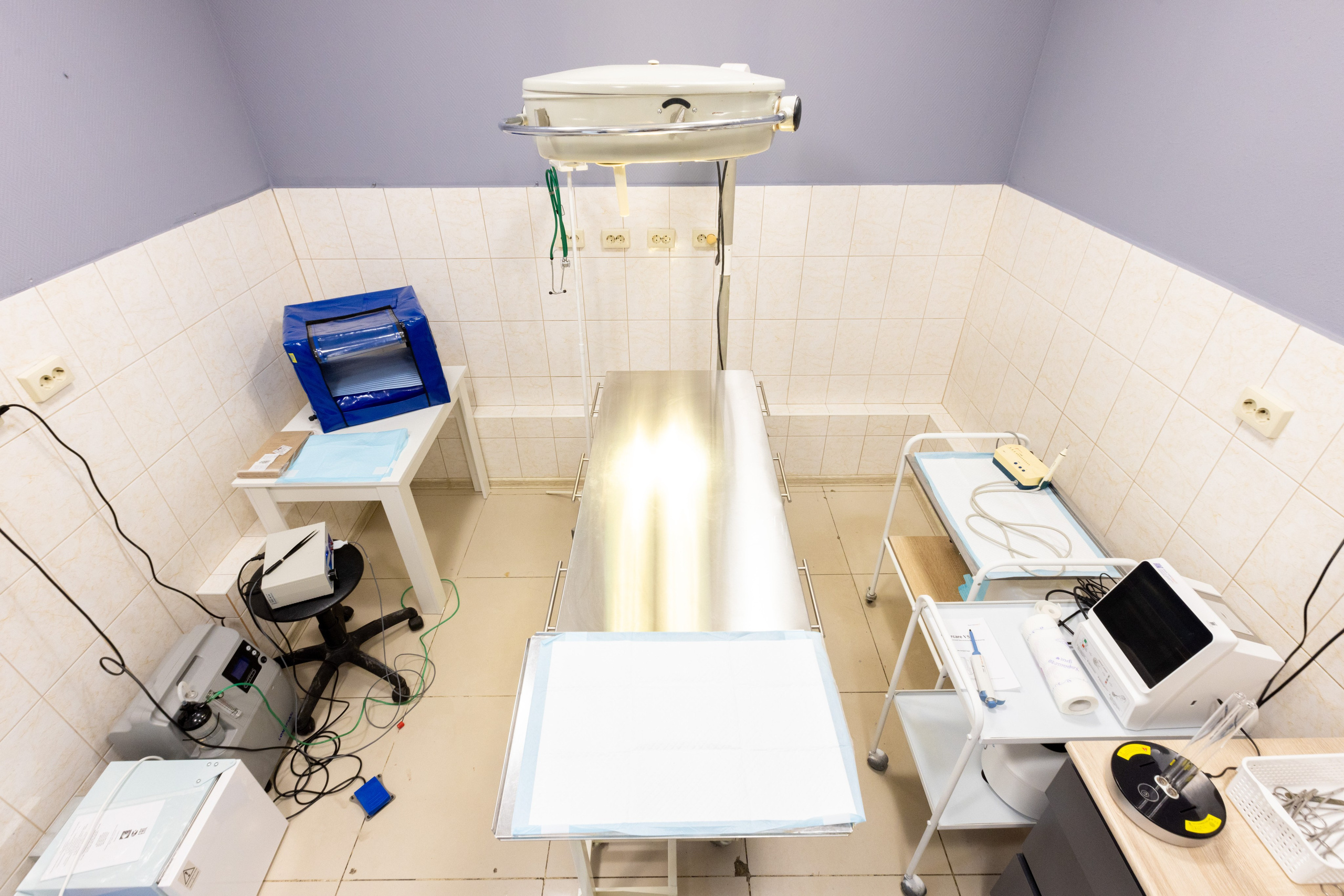 ВЕТ ТОЧКА. Фотограф в Туле Крупский АнДРей. Фотостудия «КАДР71» в Туле