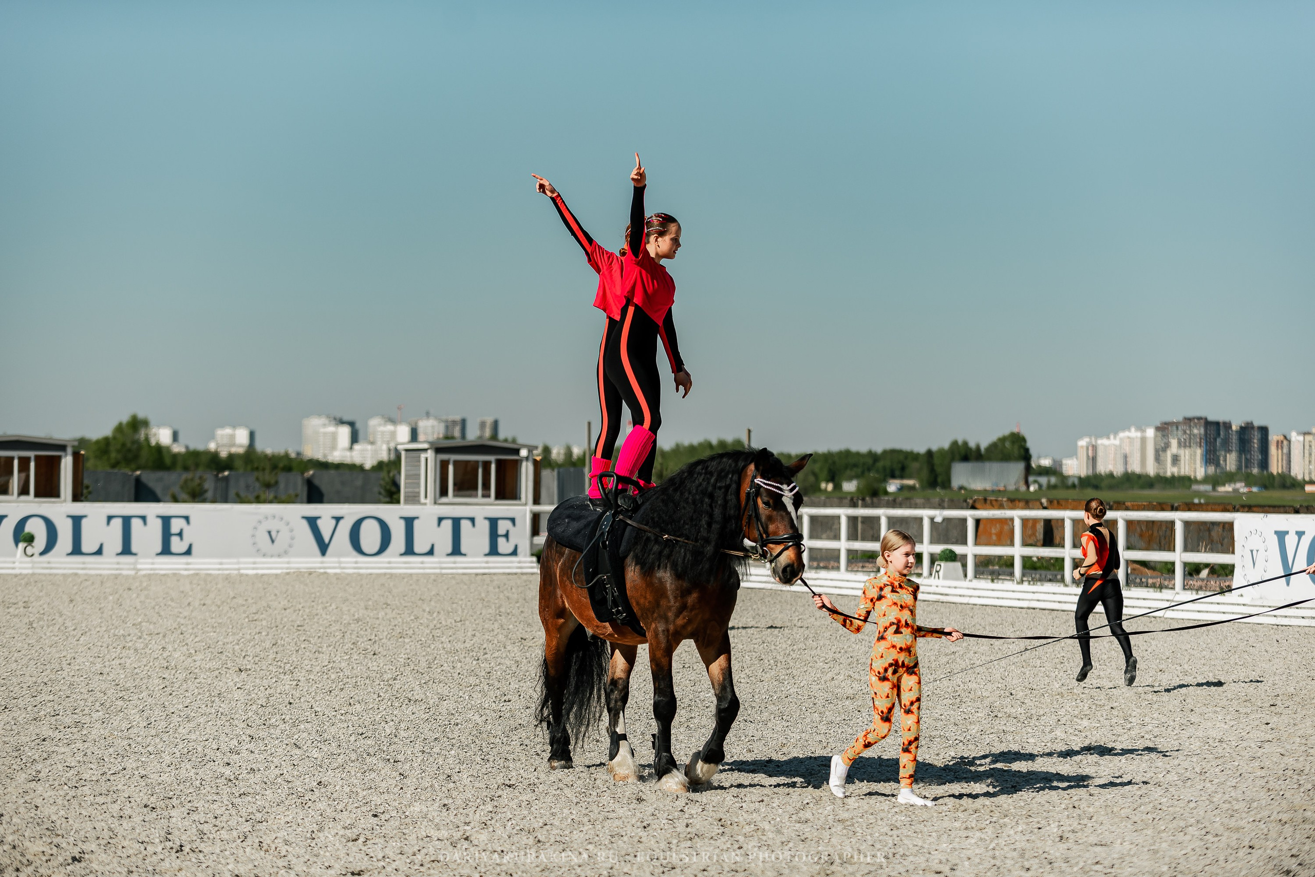 РЕПОРТАЖ МКК ВОЛЬТ «LA TULIPS». Конный фотограф Куракина Дарья • Фотосессии с лошадьми