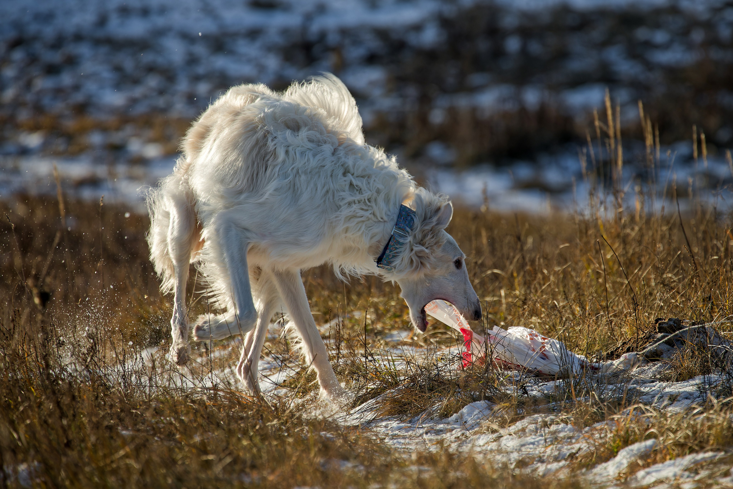 Lure Club 2025. Irenephoto.ru