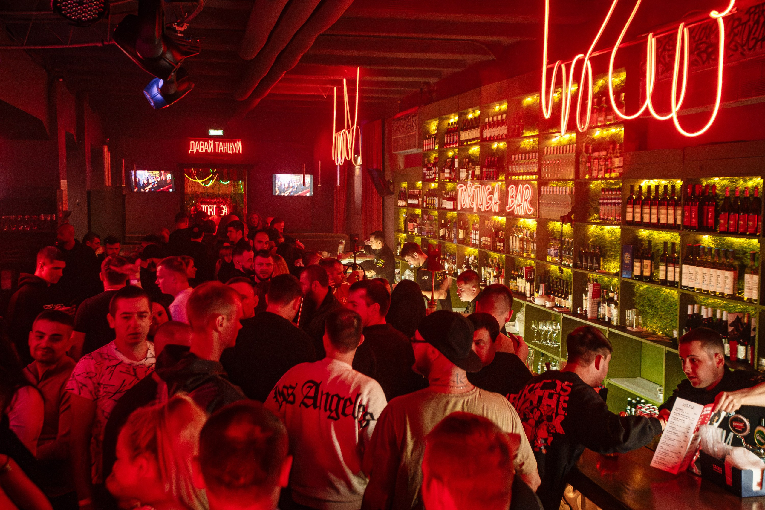 Tortuga_Lambriq_part.2_Симферополь_23.11.2024. Аминов Руслан | Фотограф