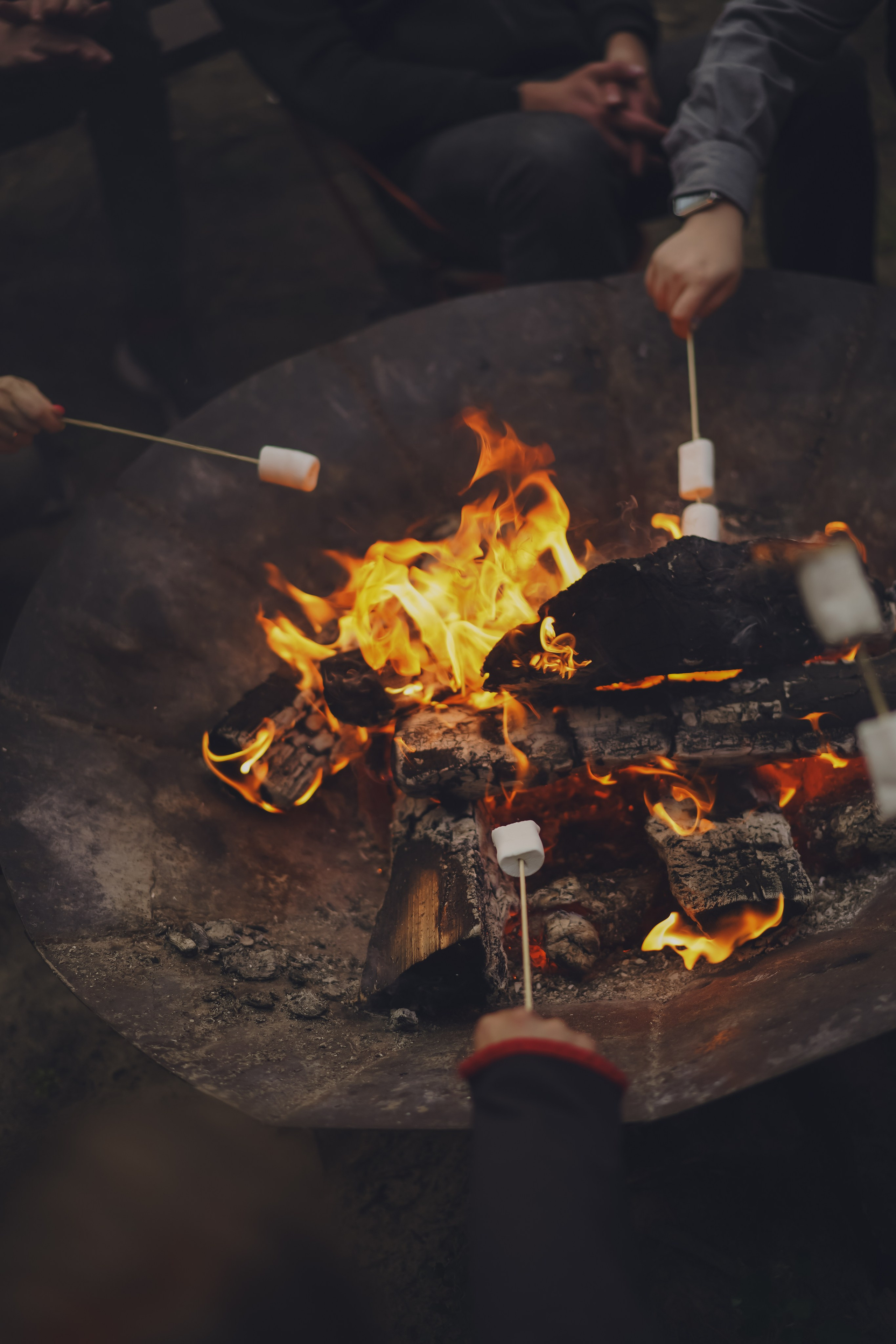 Палаточный форум CAMPot 2025. Фотограф Надежда Погребняк | Рязань | Москва