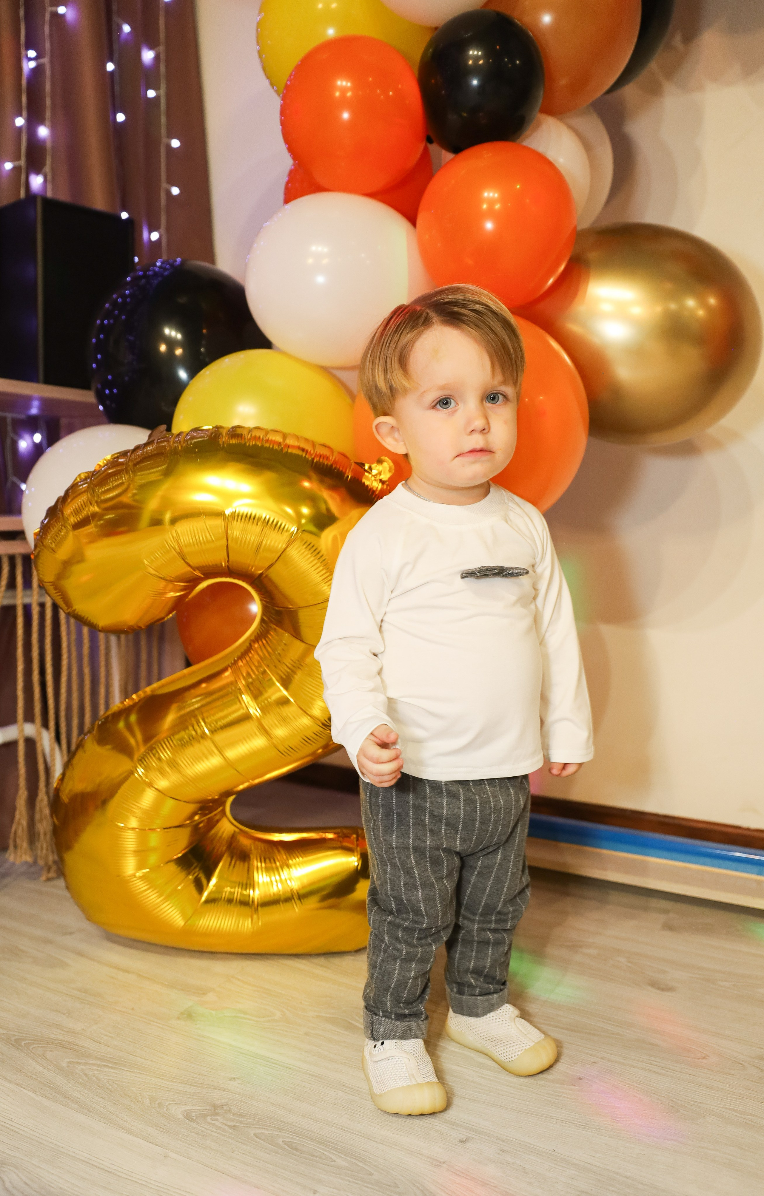 ДЕНЬ РОЖДЕНИЯ МАКСИМА 2 ГОДА. Фотограф мероприятий Ирина Каширина