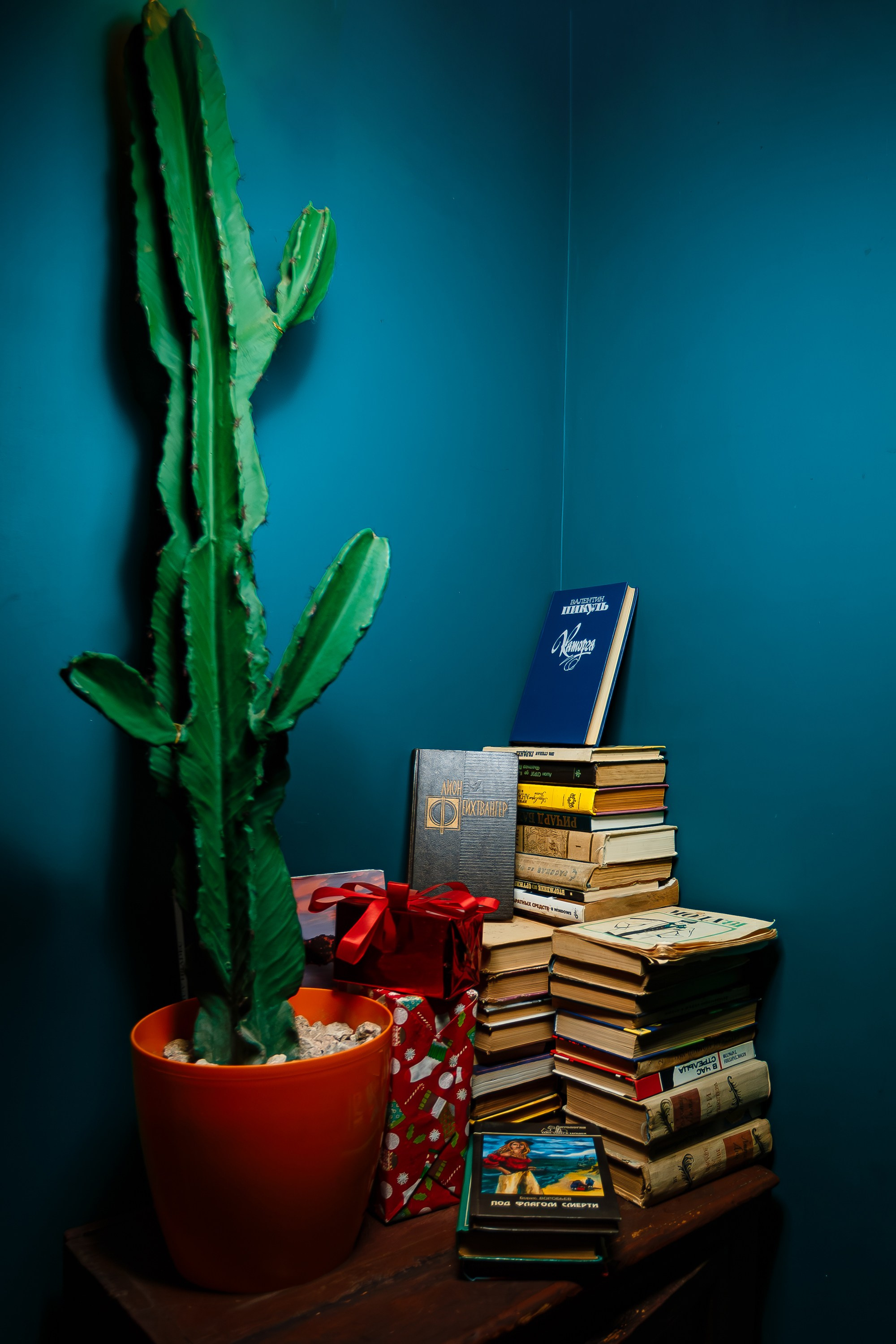 День благодарности_El Pastor_Симферополь_6.12.2024. Аминов Руслан | Фотограф