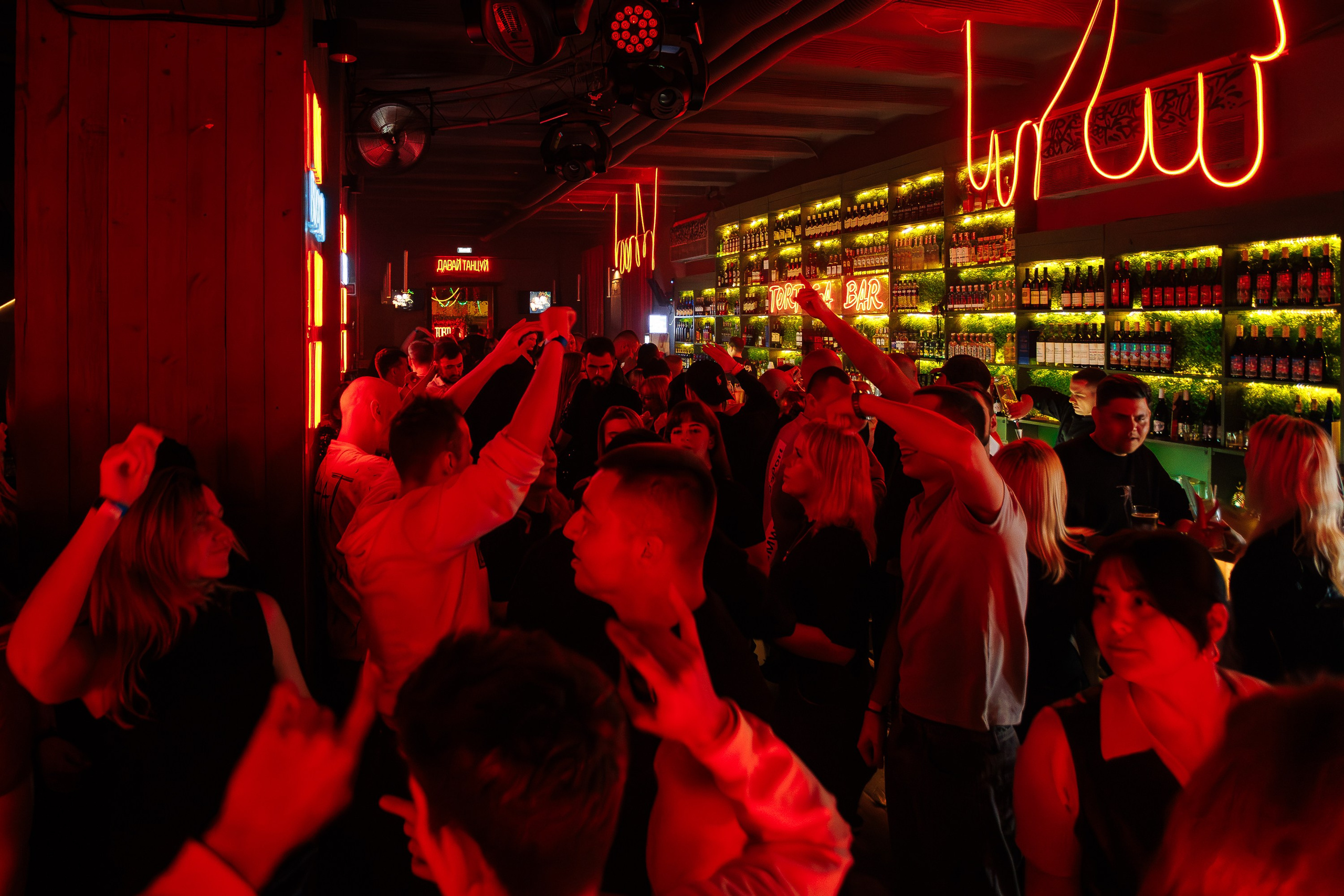 «Мартовские коты"_Tortuga_Симферополь_29.03.2025. Аминов Руслан | Фотограф