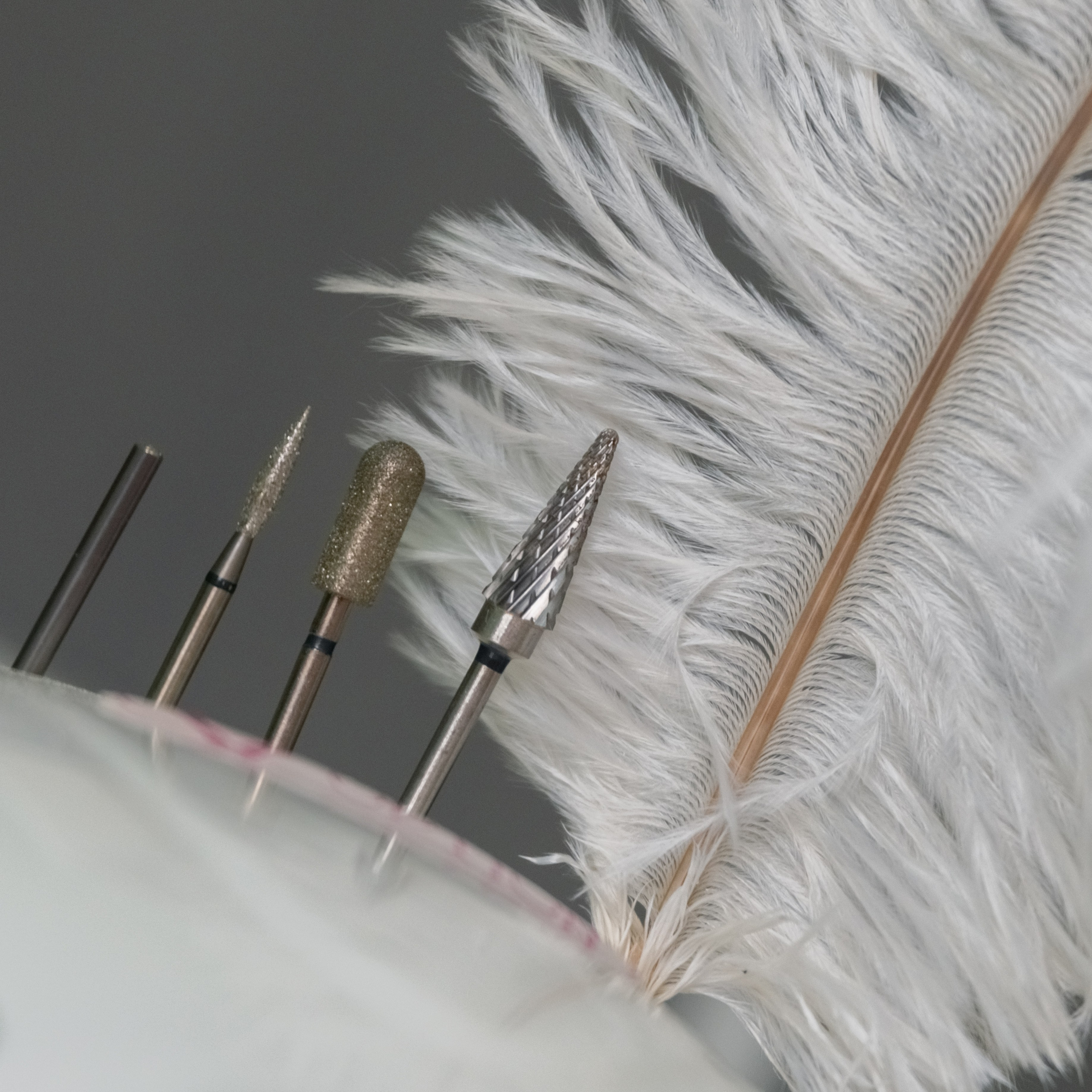 Контент. Фотограф Светлана Воронцова