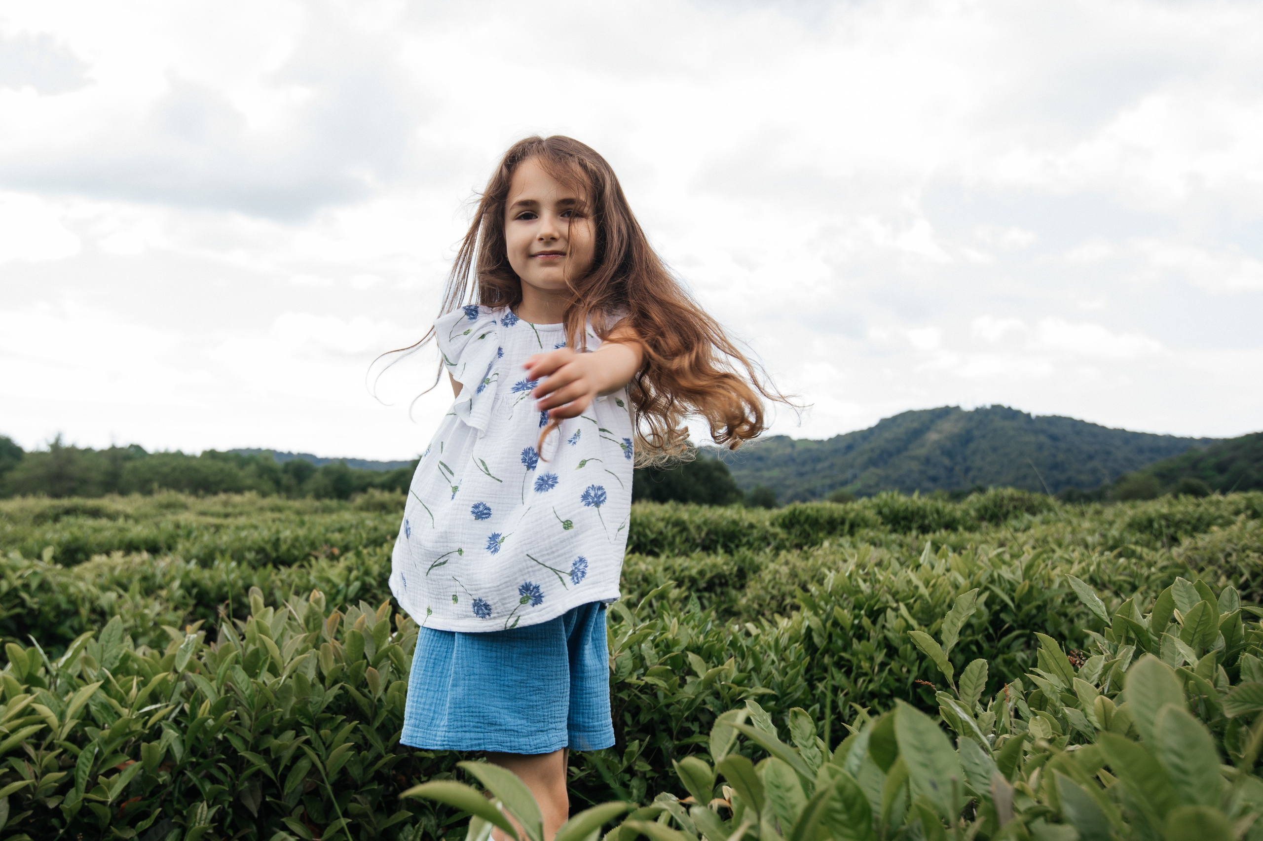 Tea plantation. Efimova Model Agency