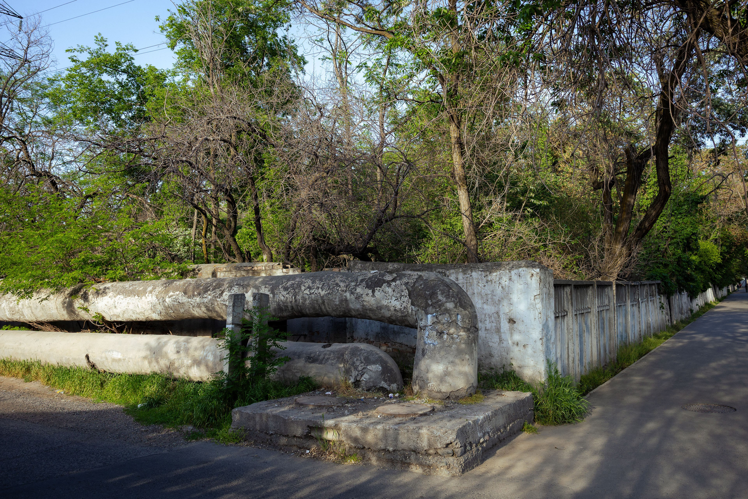 Кыргызстан (весна 2025). Фотограф Виноградов Константин