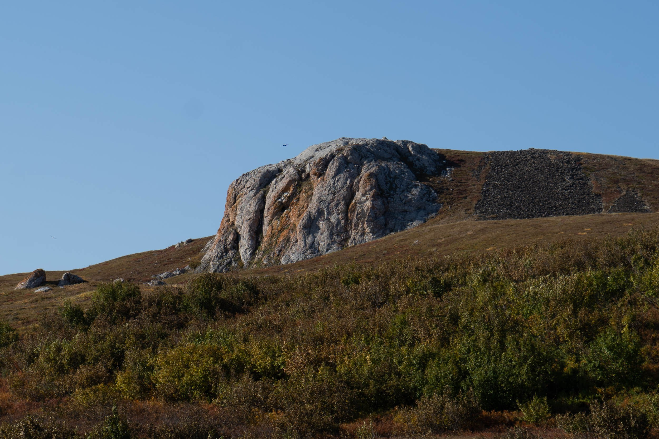 Рифы девонского моря. Фотограф Екатерина Зорина