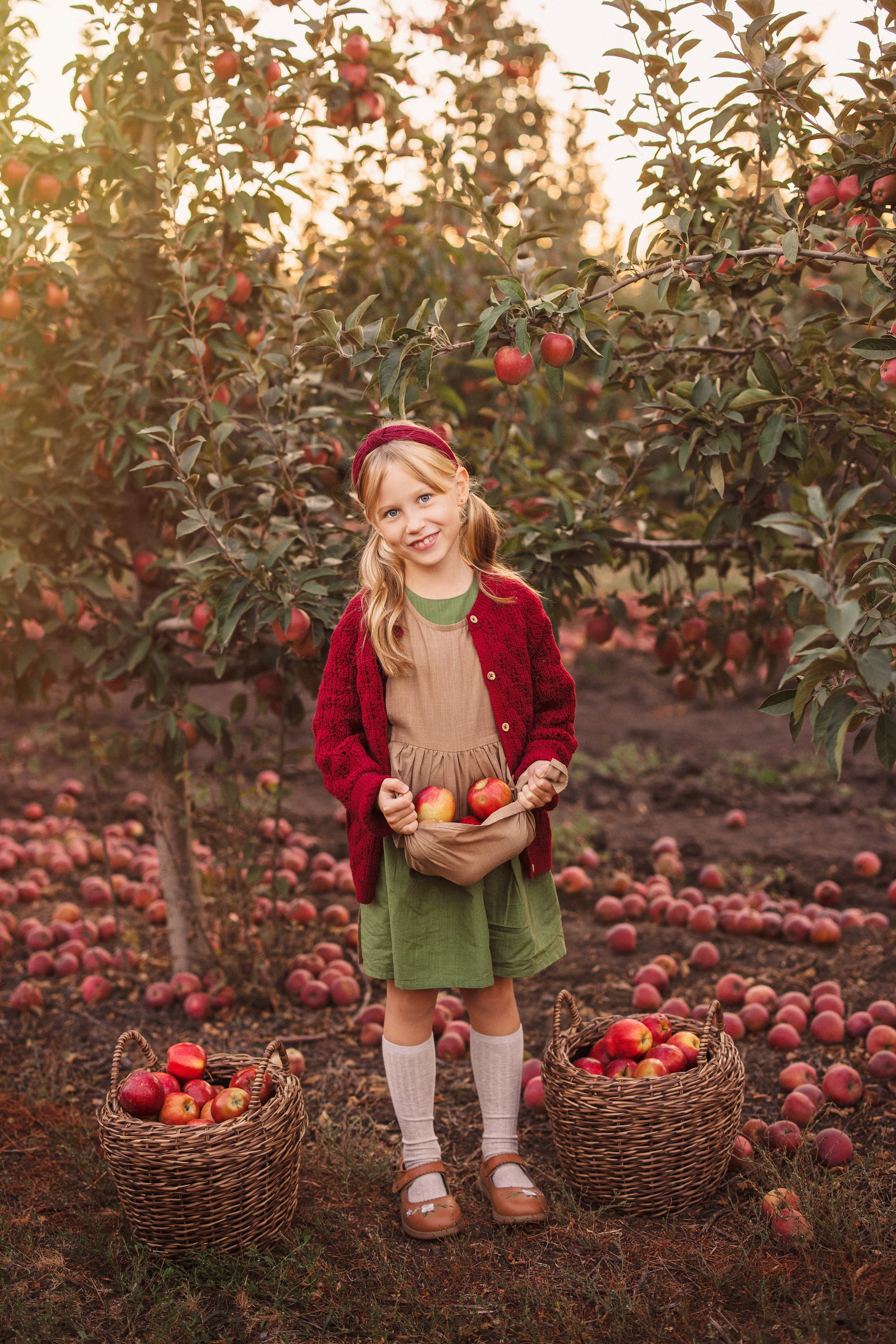 Сбор урожая Яблок. Семейный и детский фотограф в Краснодаре Анна Трашкова