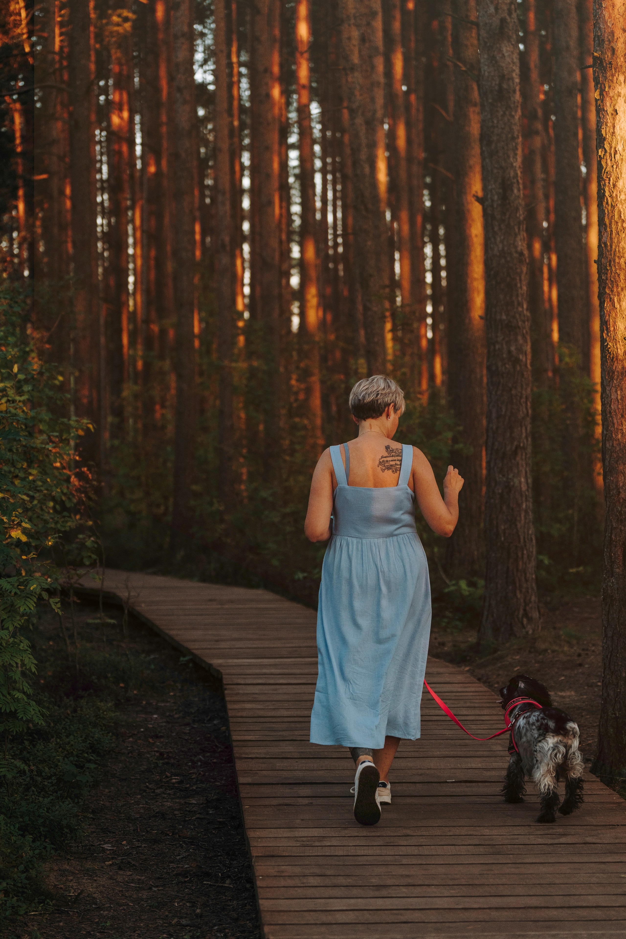 Аня и Тея. Фотограф анималист в Спб недорого Олеся Майорова