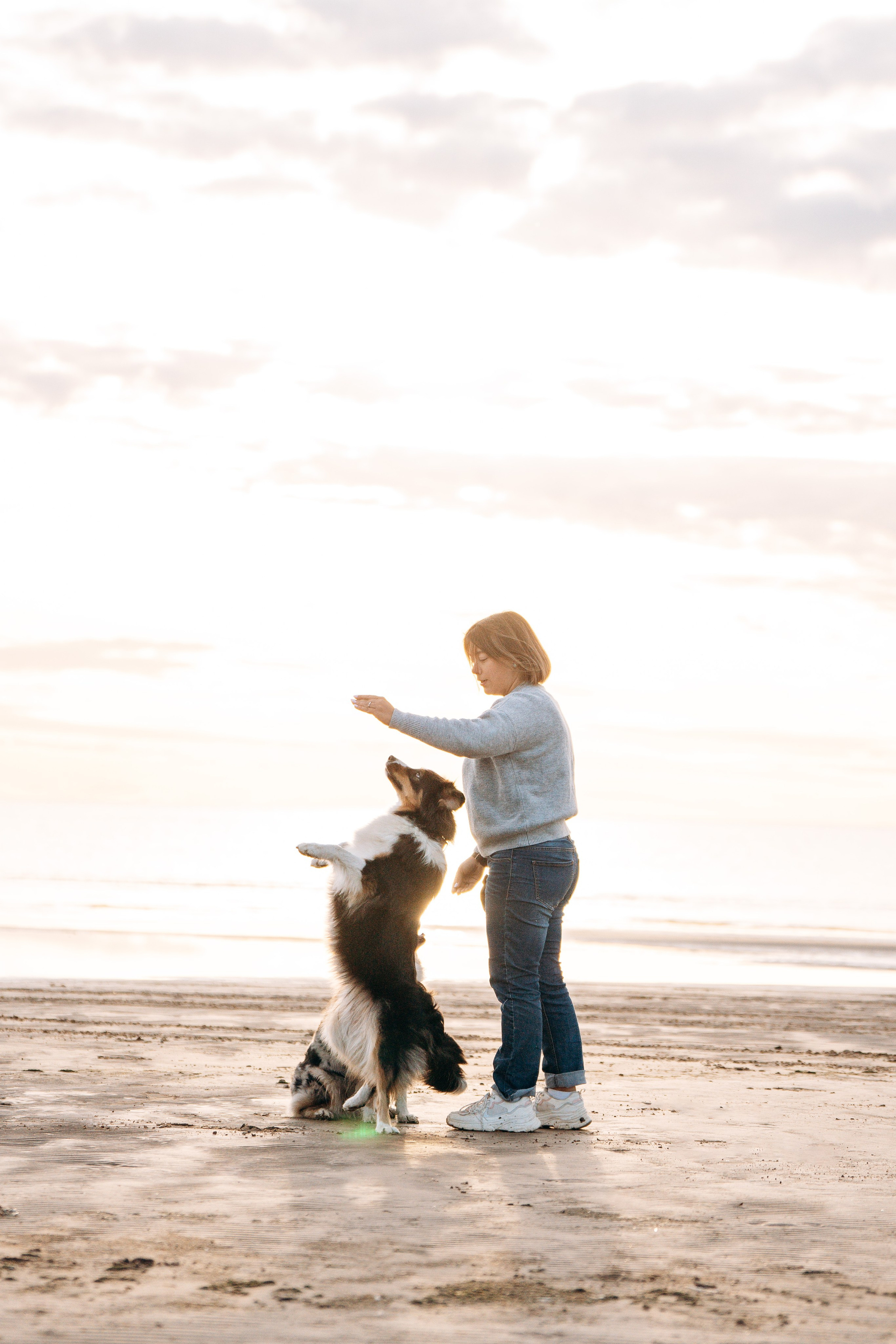 Фотограф анималист в Спб. Фотограф анималист в Спб недорого Олеся Майорова