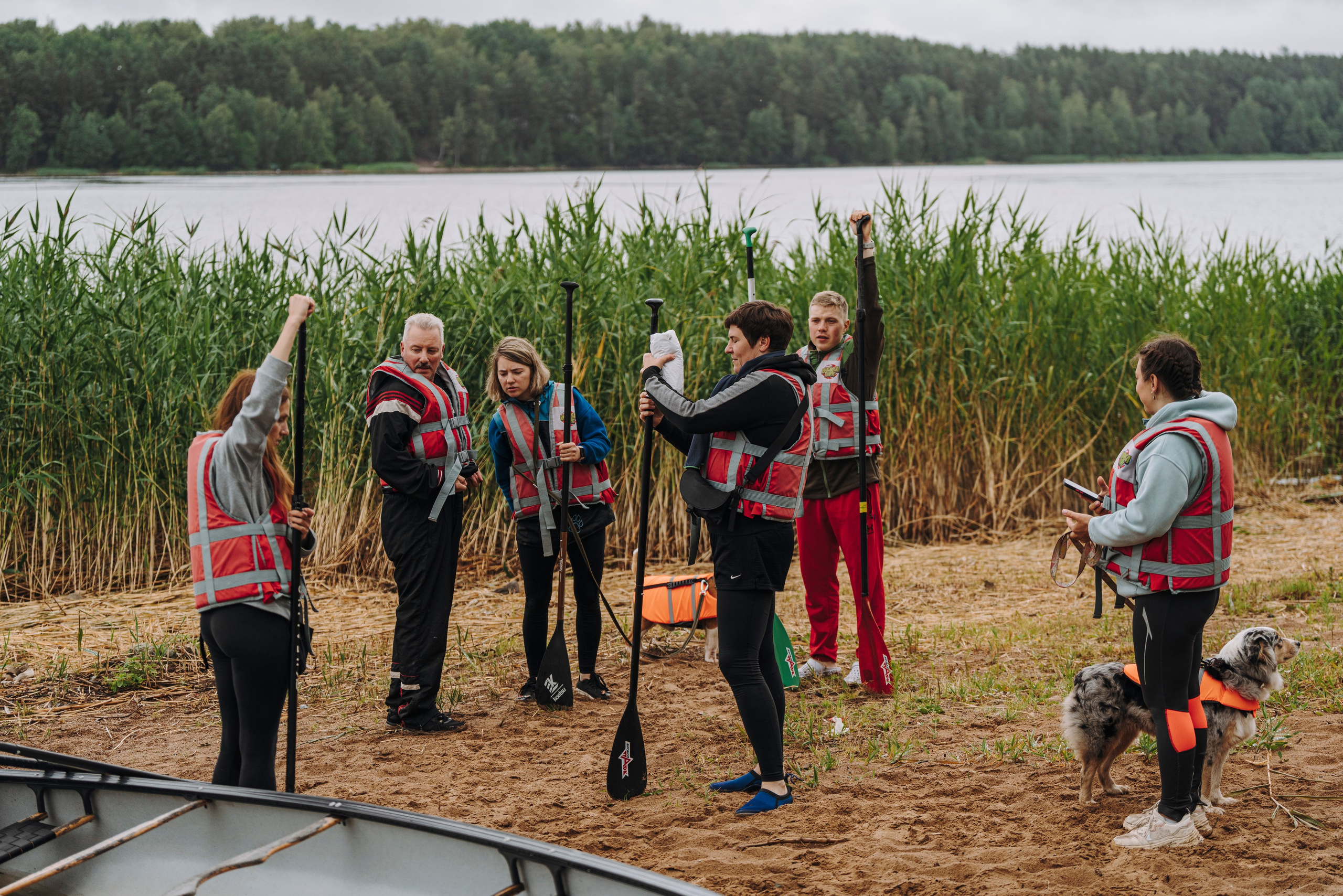 Катание на сапах с собаками. Фотограф анималист в Спб недорого Олеся Майорова
