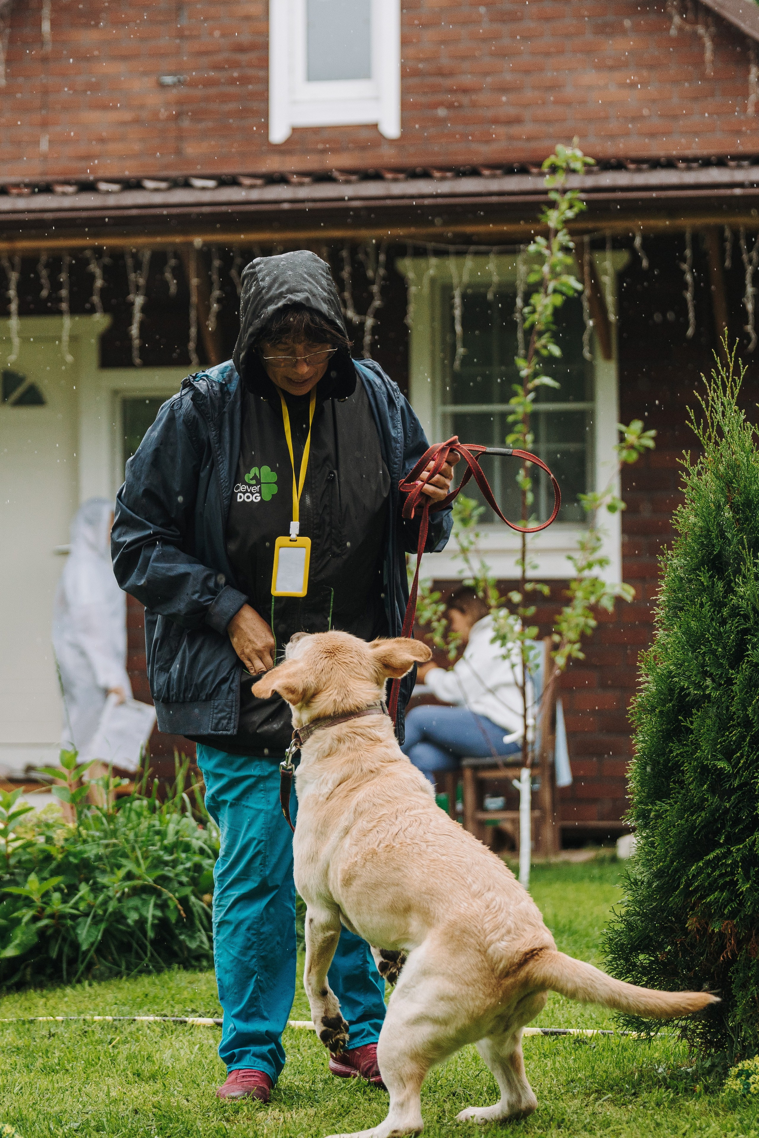 Соревнования по ноузворку в Новожилово. Фотограф анималист в Спб недорого Олеся Майорова