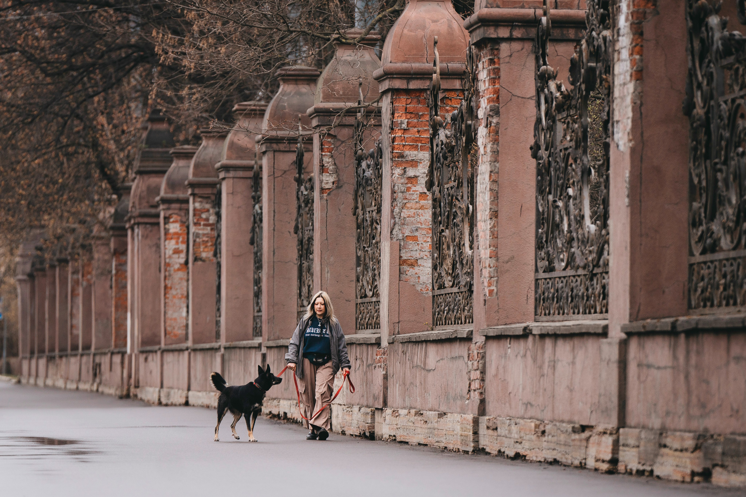 Эля и Шиза. Фотограф анималист в Спб недорого Олеся Майорова