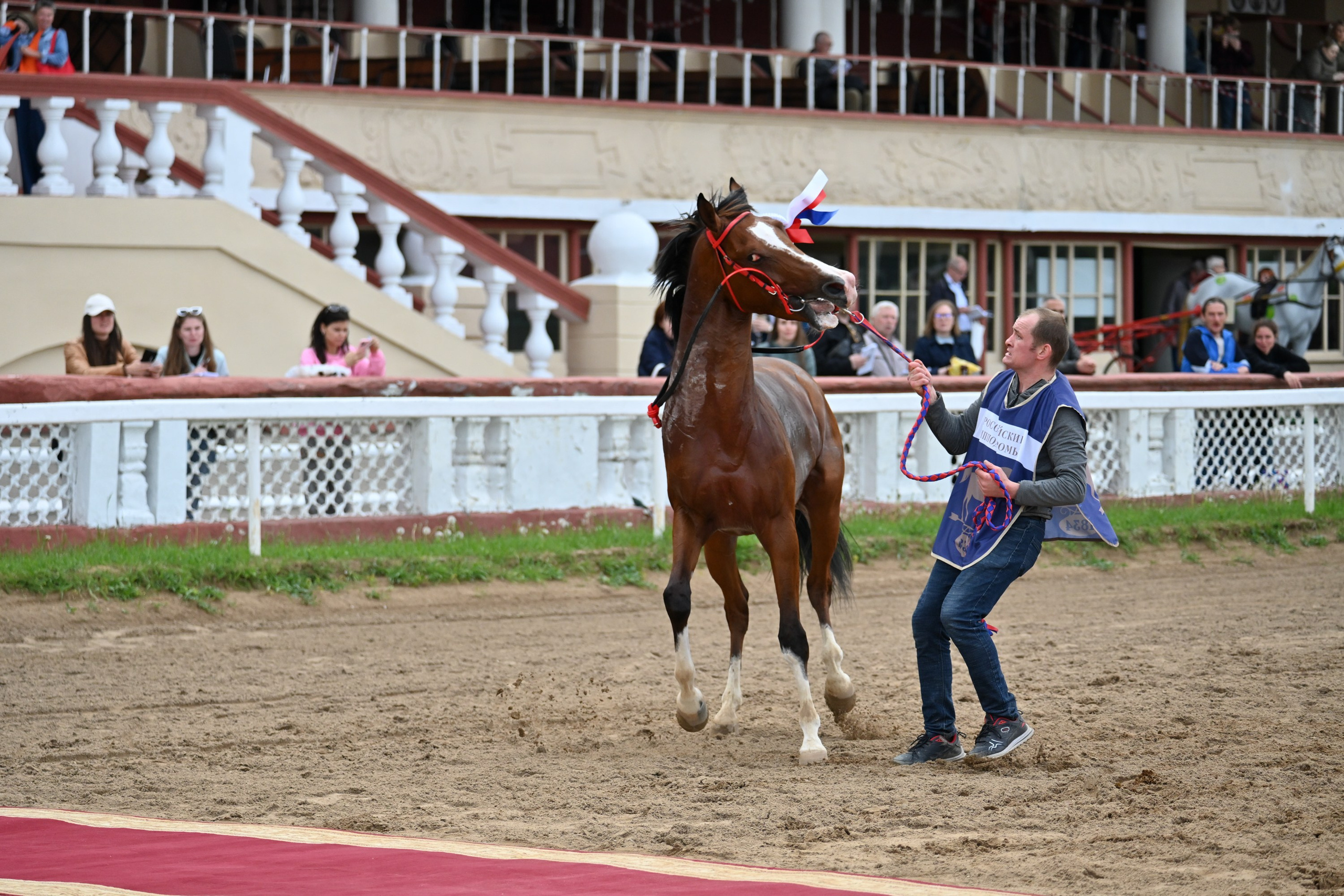 Ипподром (Москва). Fotolux