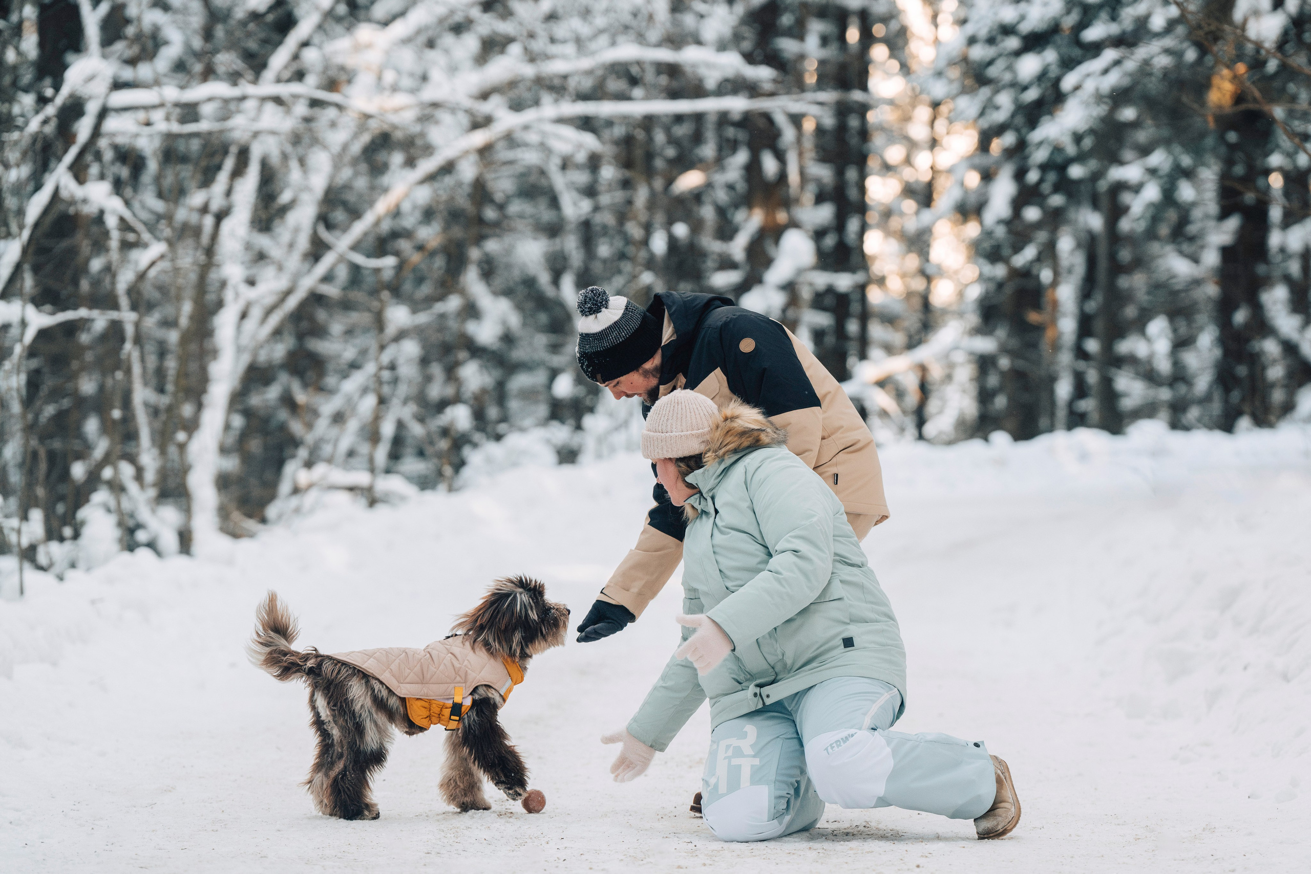 Хэйзел и её семья. Фотограф анималист в Спб недорого Олеся Майорова