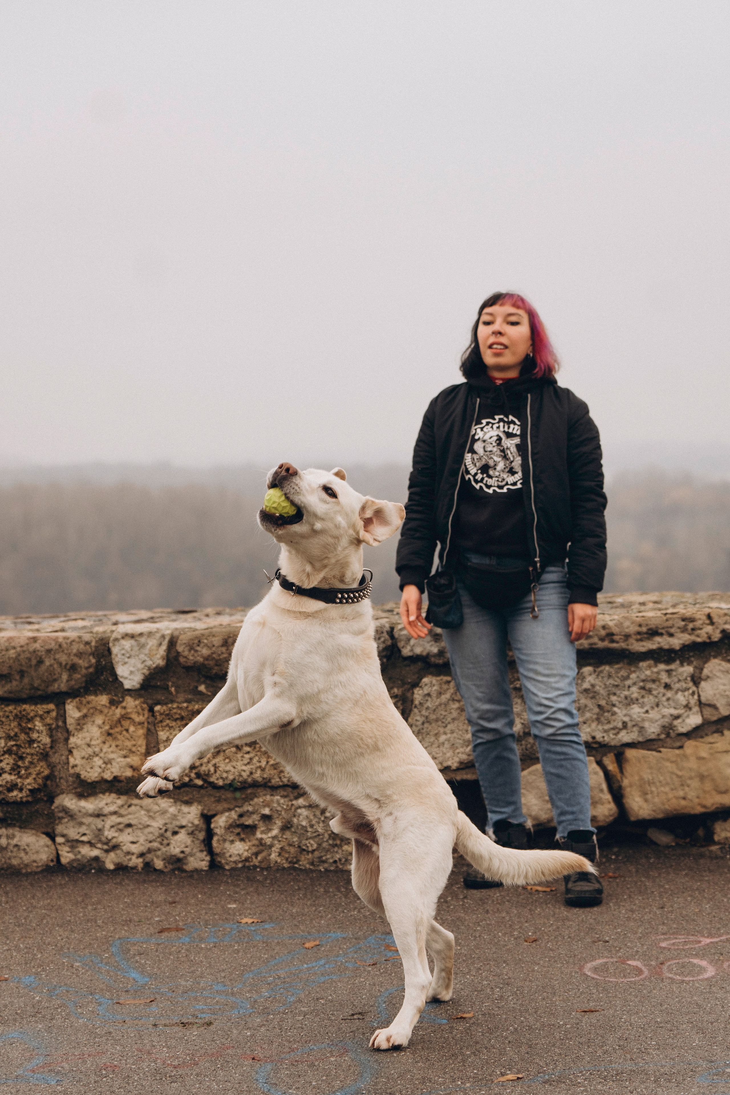 Вати, Лена и Леван. Фотограф анималист в Спб недорого Олеся Майорова