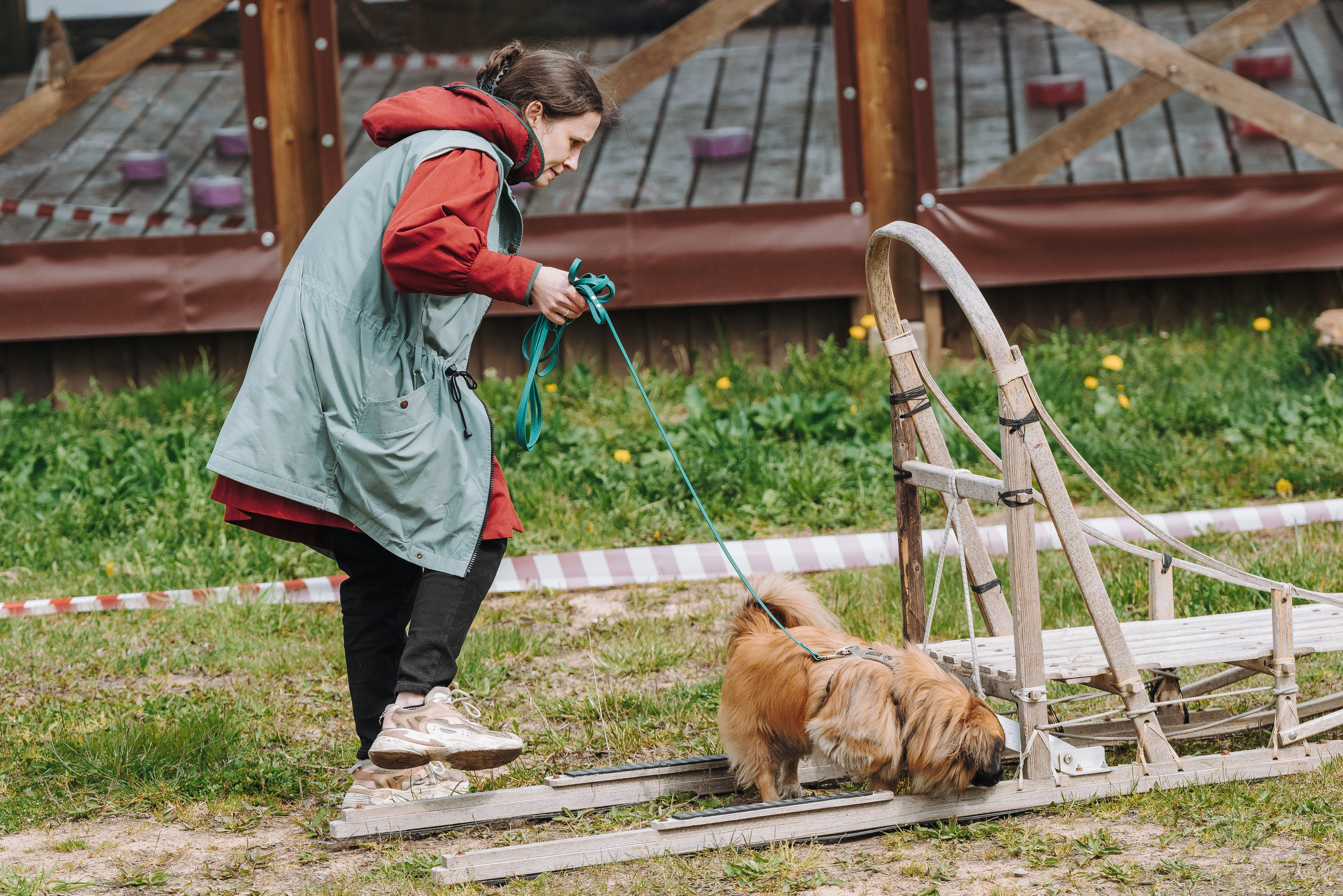Соревнования по ноузворку в Лосево. Фотограф анималист в Спб недорого Олеся Майорова