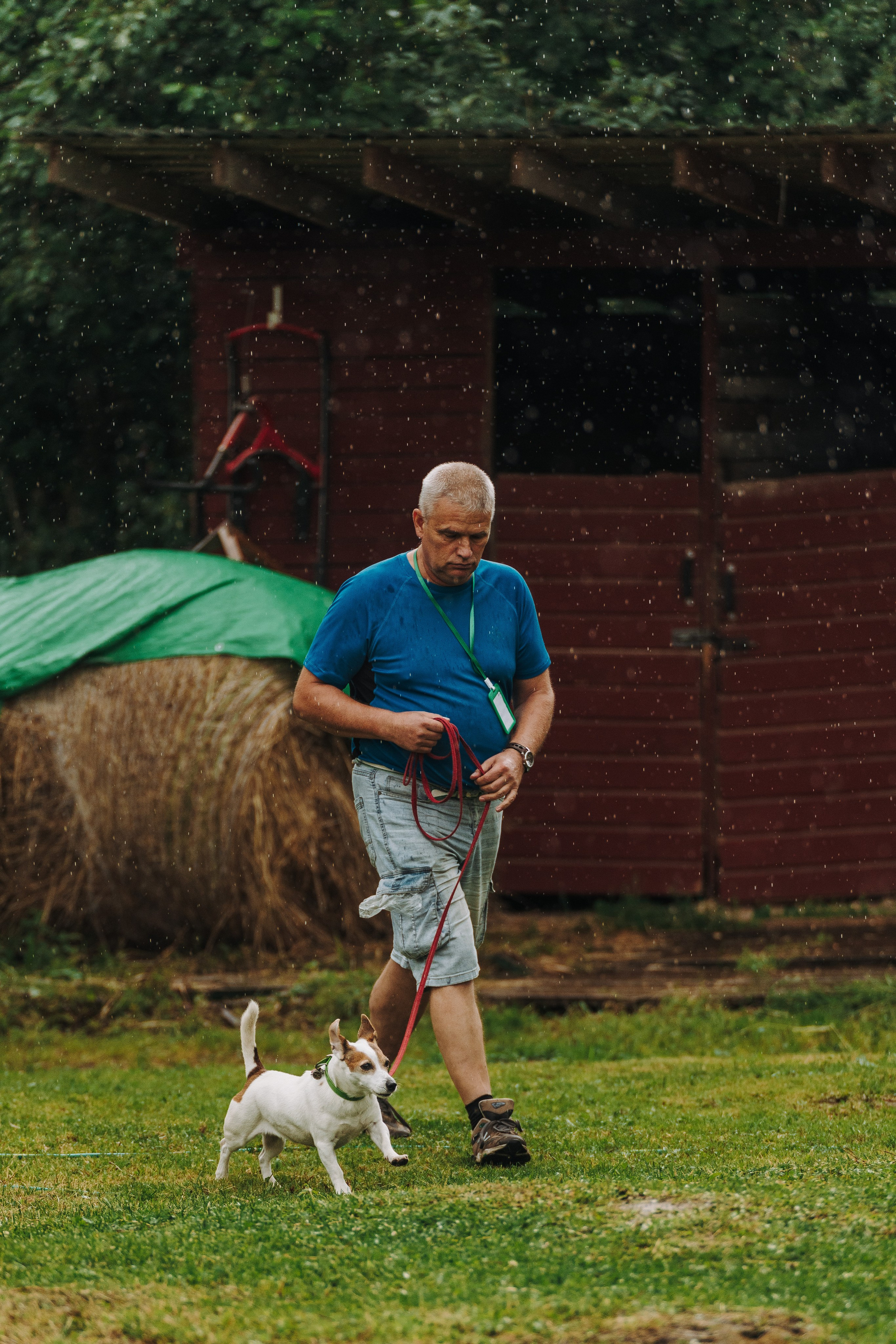 Соревнования по ноузворку в Новожилово. Фотограф анималист в Спб недорого Олеся Майорова