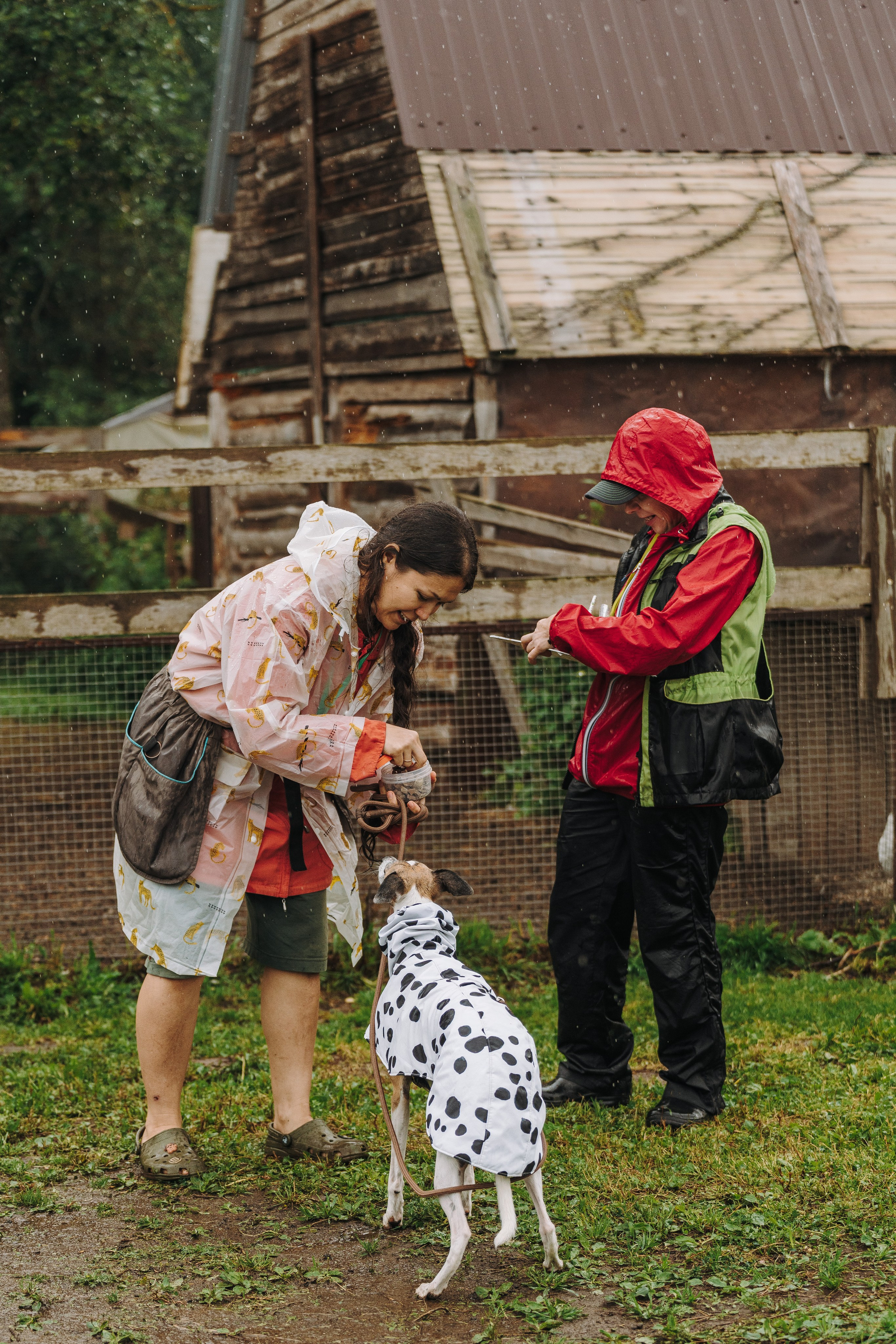 Соревнования по ноузворку в Новожилово. Фотограф анималист в Спб недорого Олеся Майорова