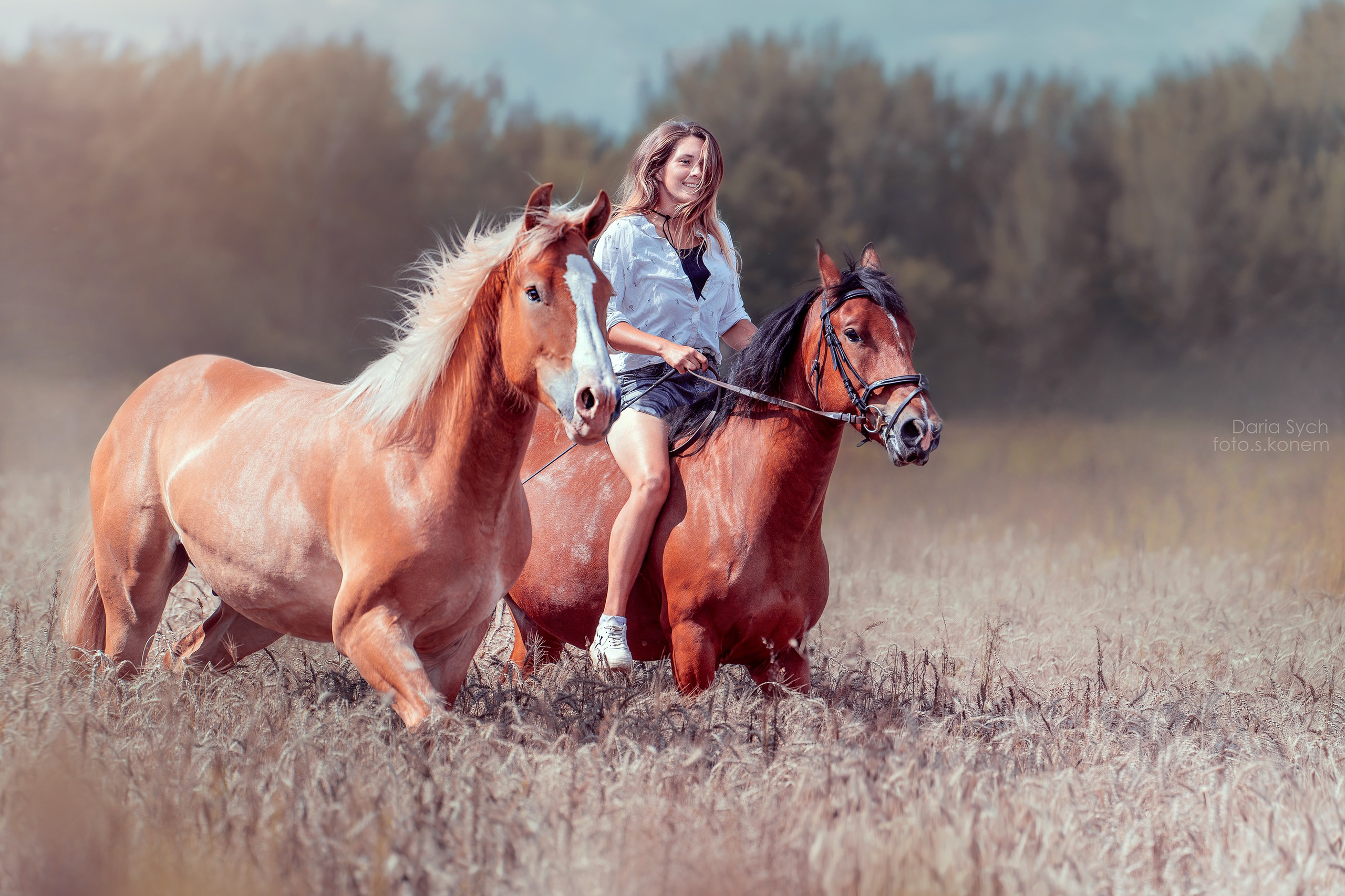 Летний зной. Фотограф Дарья Соколовская