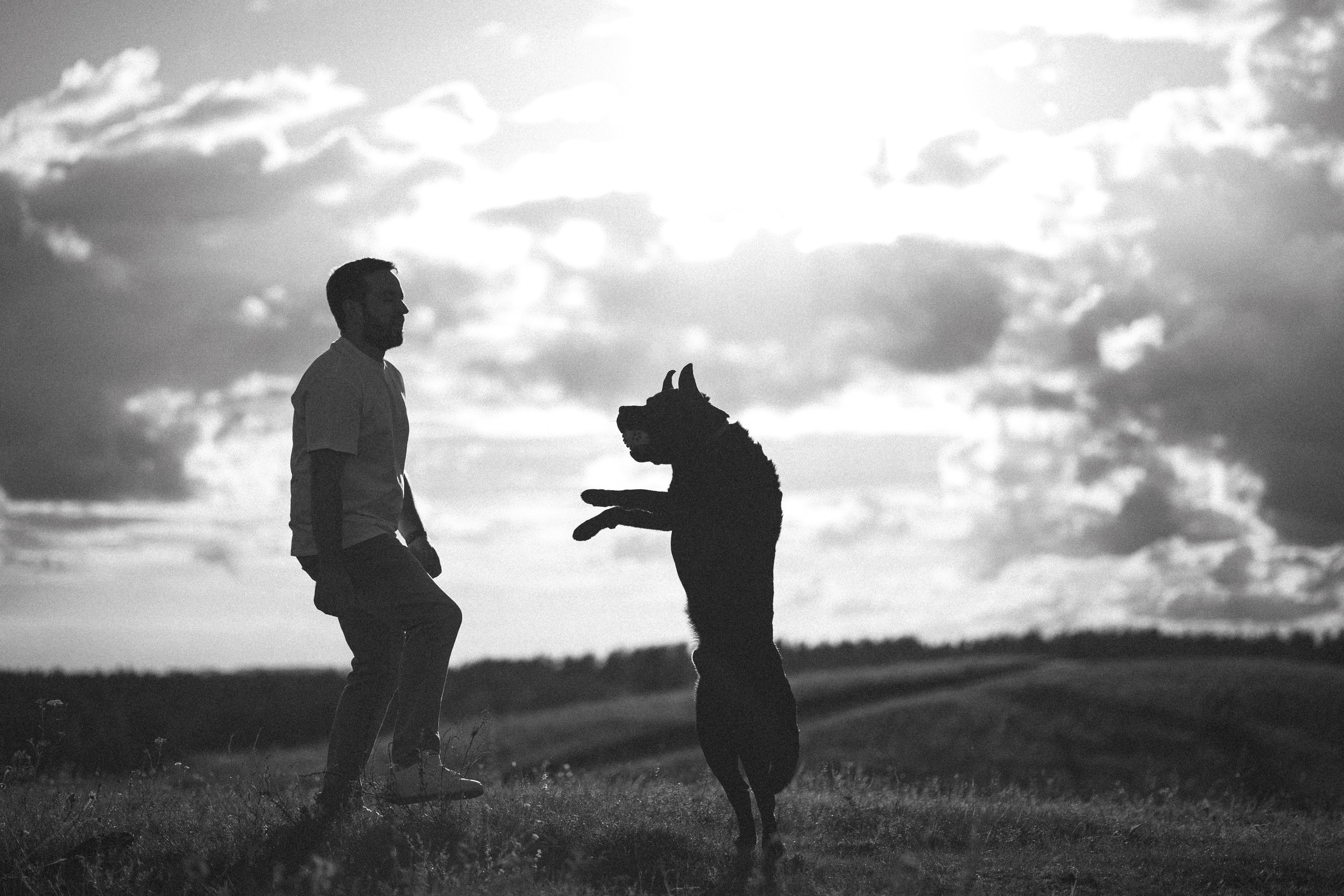 Бомбей и его семья. Фотограф — Анималист | Санкт-Петербург