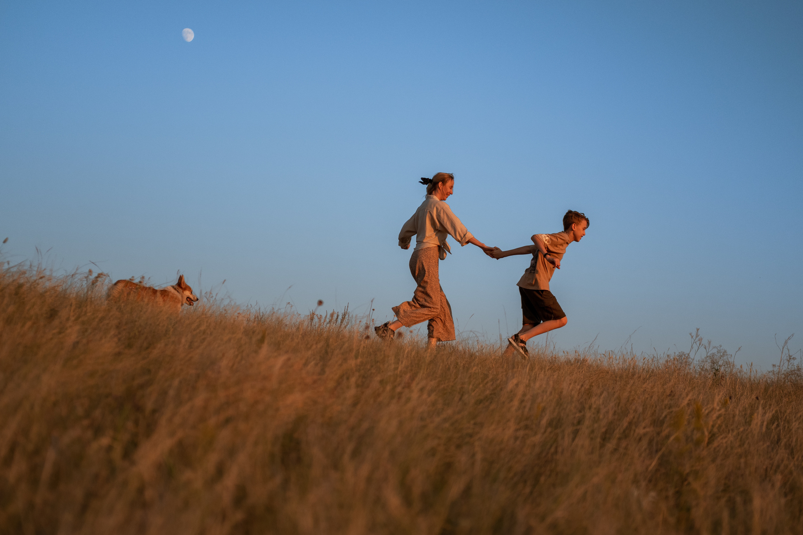 Летний закат вместе с Бубой. Семейный фотограф в Оренбурге Юлия Зиборева