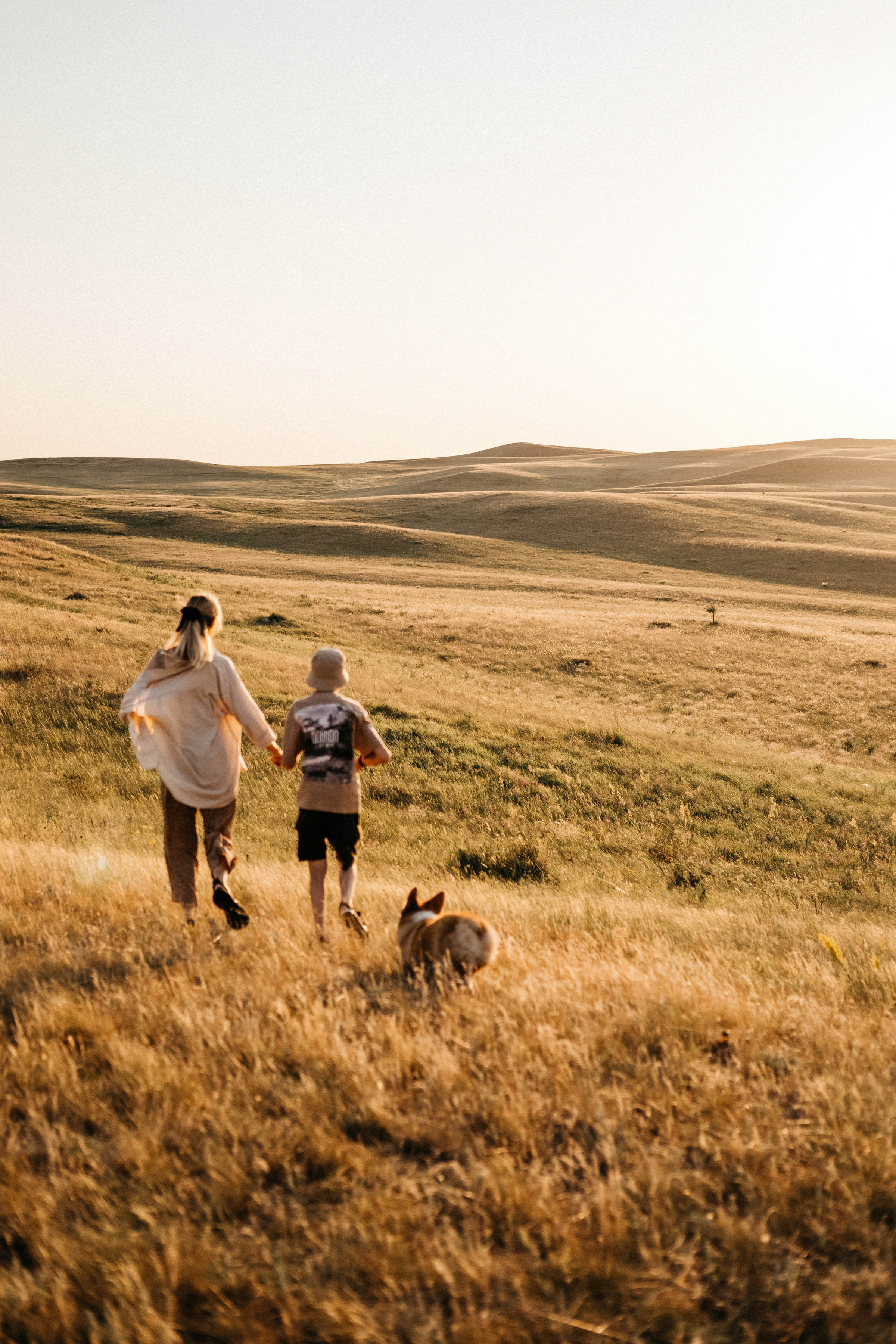 Летний закат вместе с Бубой. Семейный фотограф в Оренбурге Юлия Зиборева