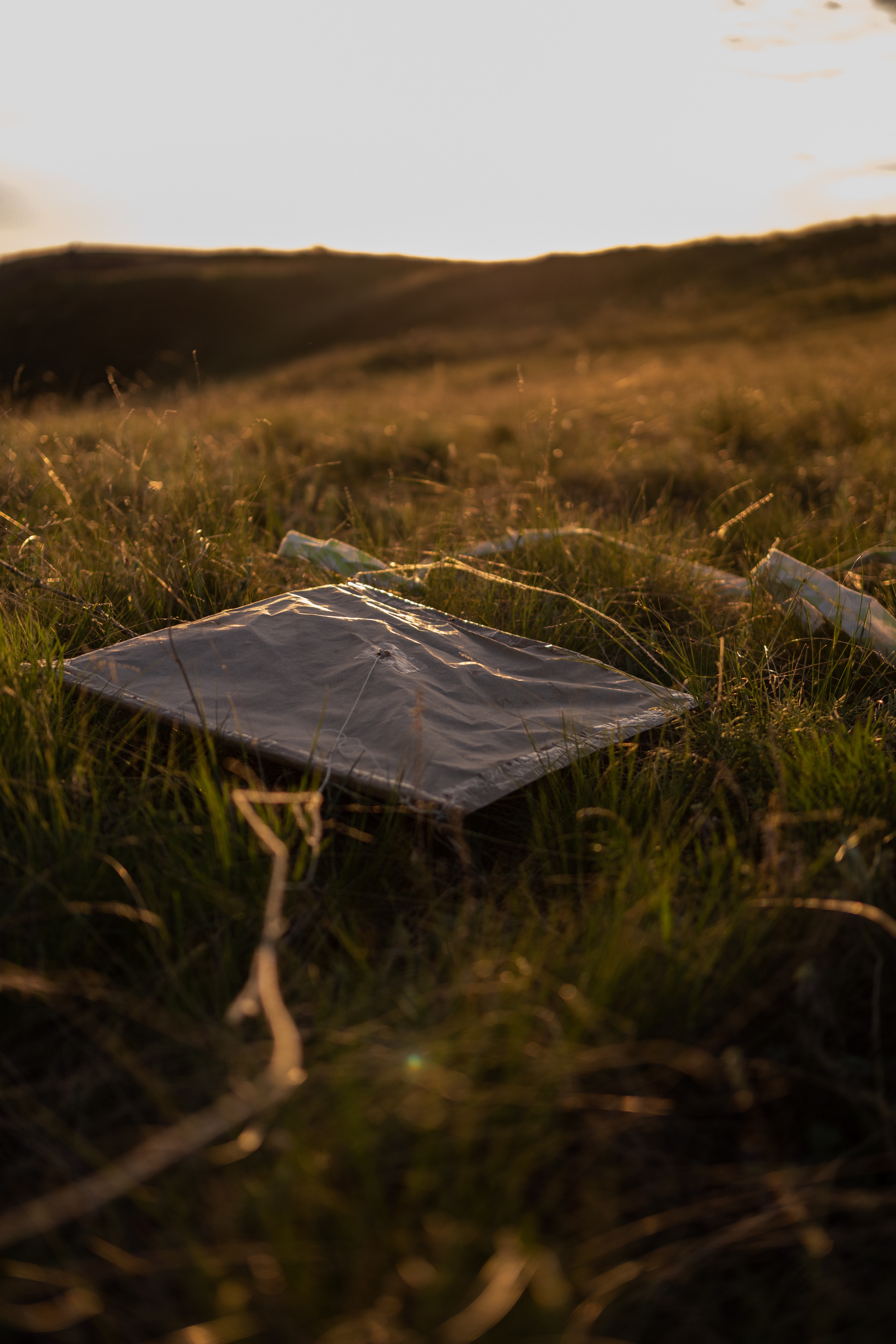 Воздушный змей. Семейный фотограф в Оренбурге Юлия Зиборева