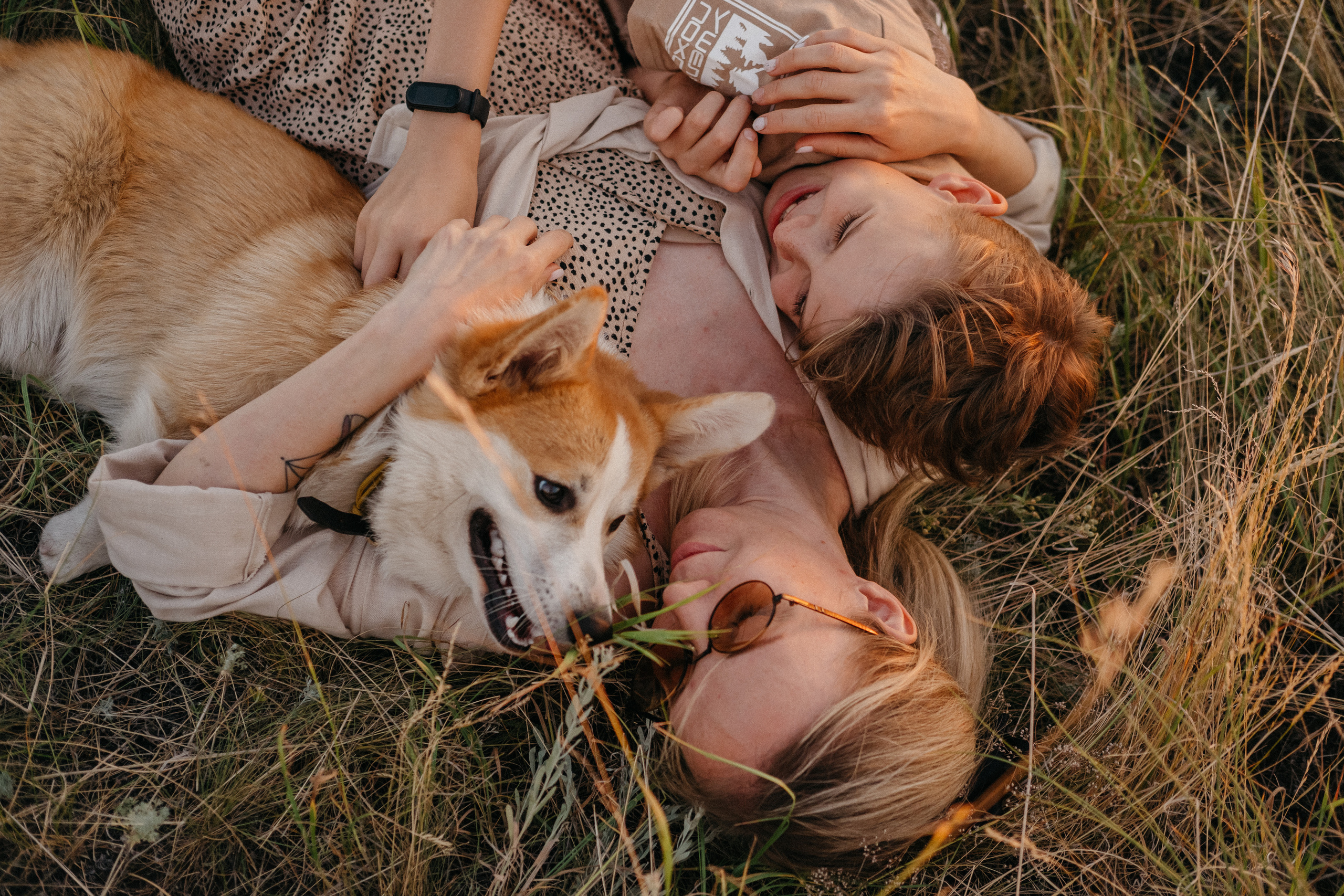 Летний закат вместе с Бубой. Семейный фотограф в Оренбурге Юлия Зиборева