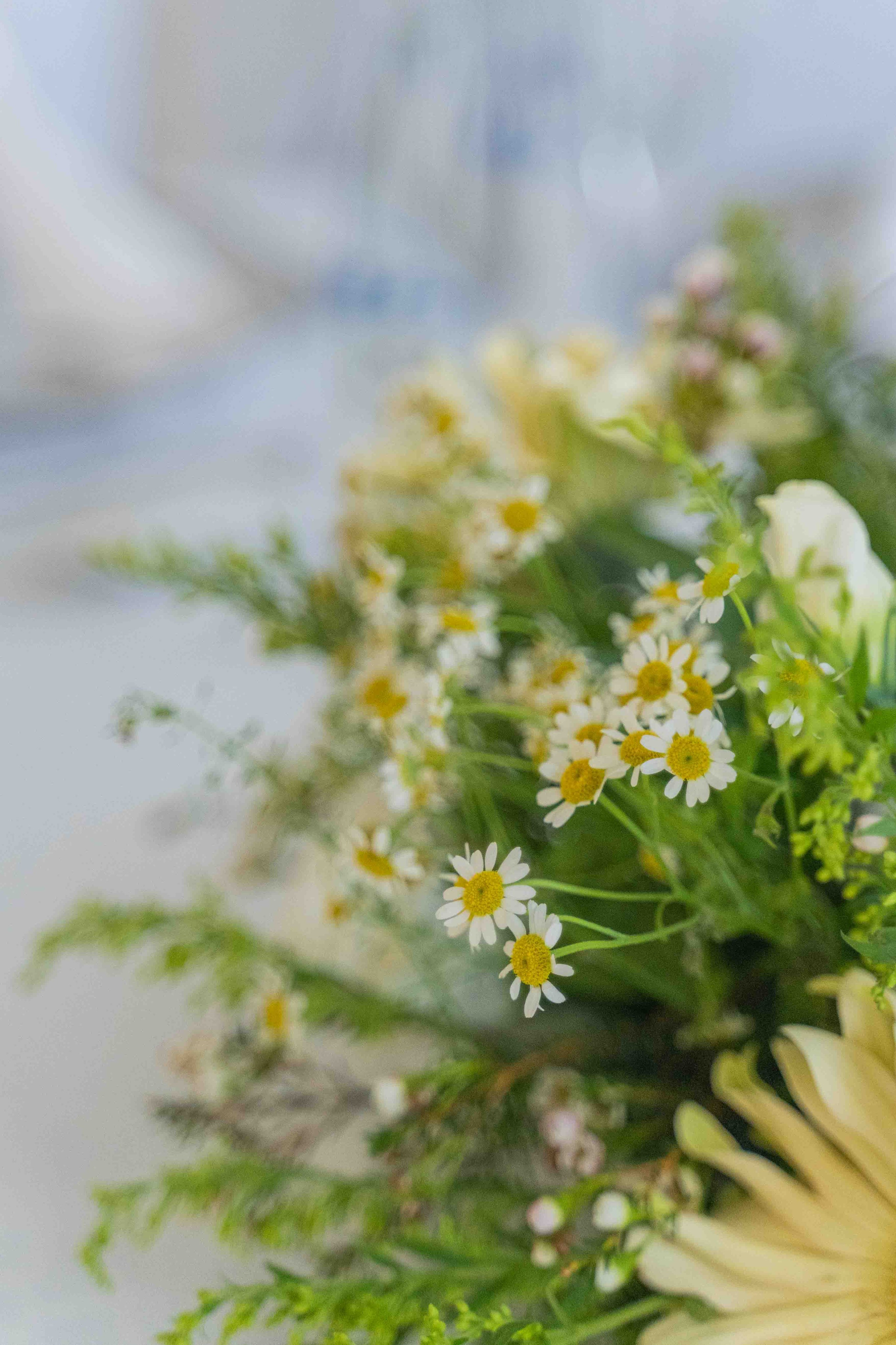 Арабская скромная помолвка дома (приватность на женские лица). Фотограф и видеограф в Москве и Абу Даби Мария Кулагина