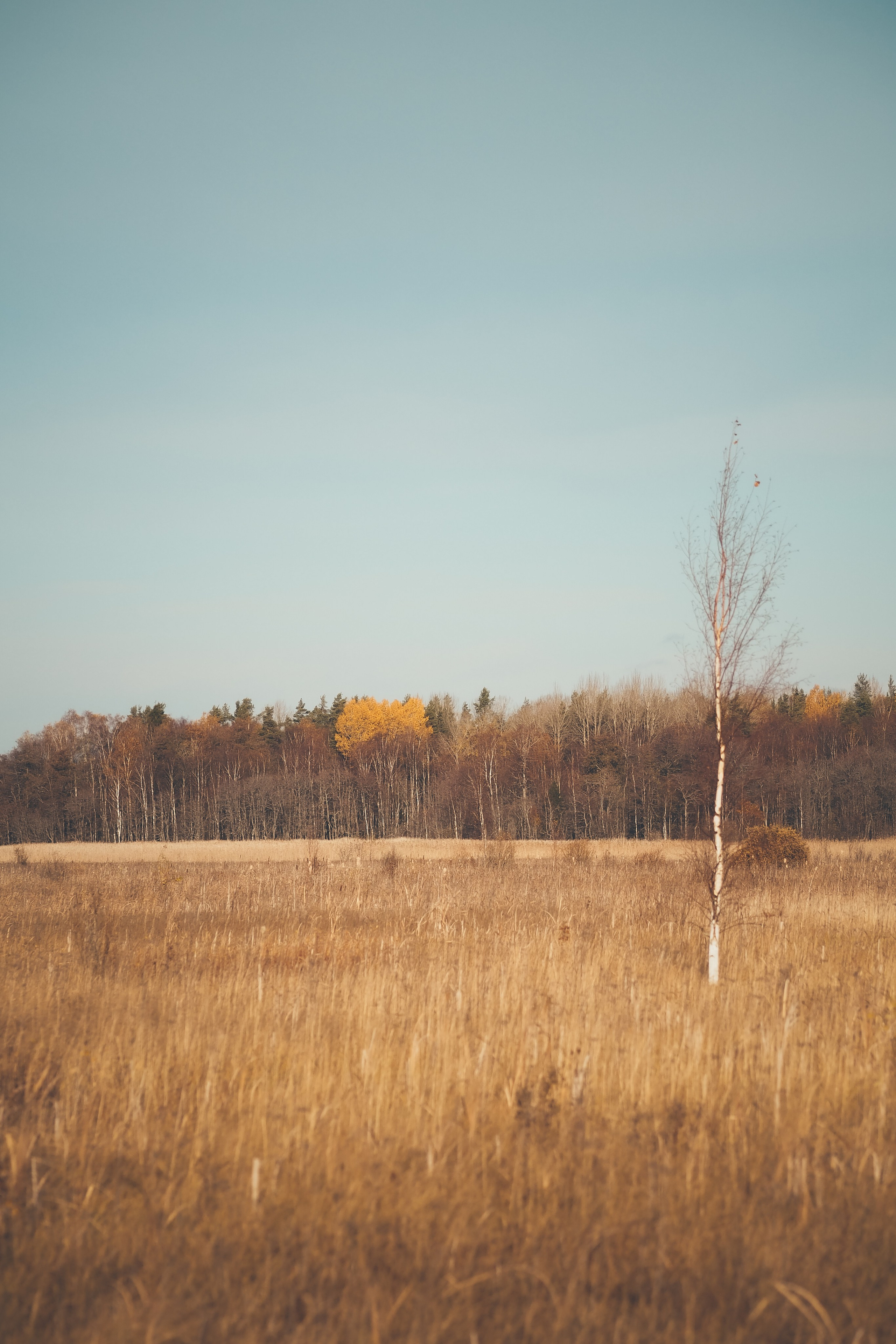 Раковые озера. Свадебный фотограф Копков Геннадий