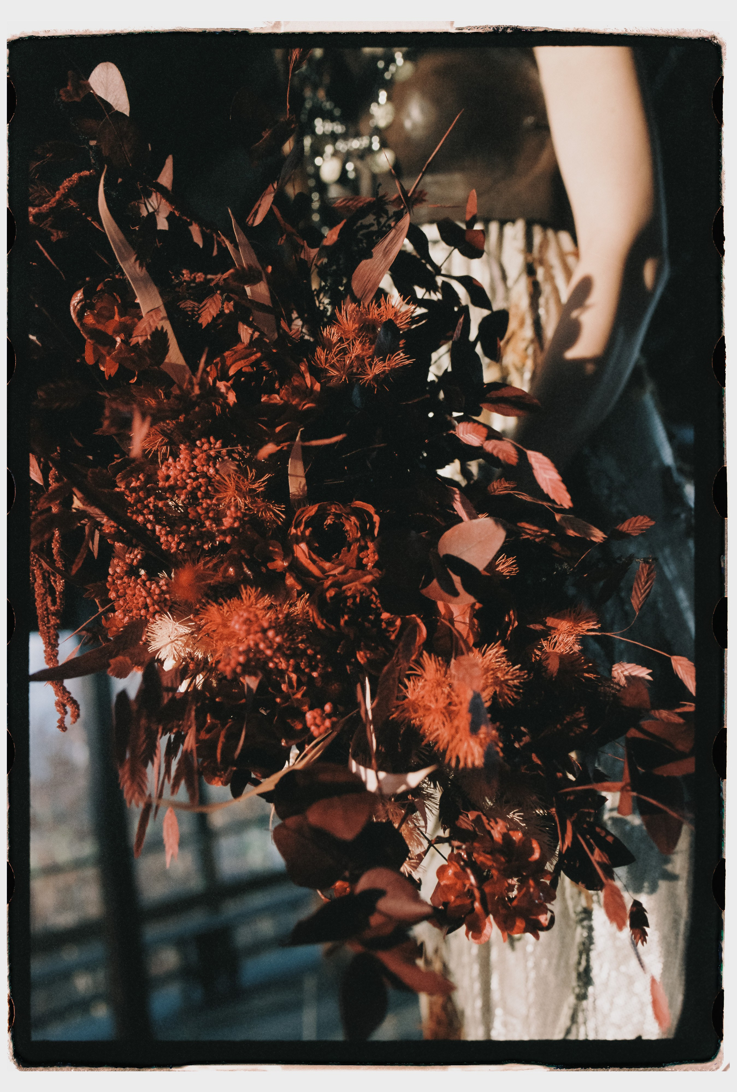 Лесной променад