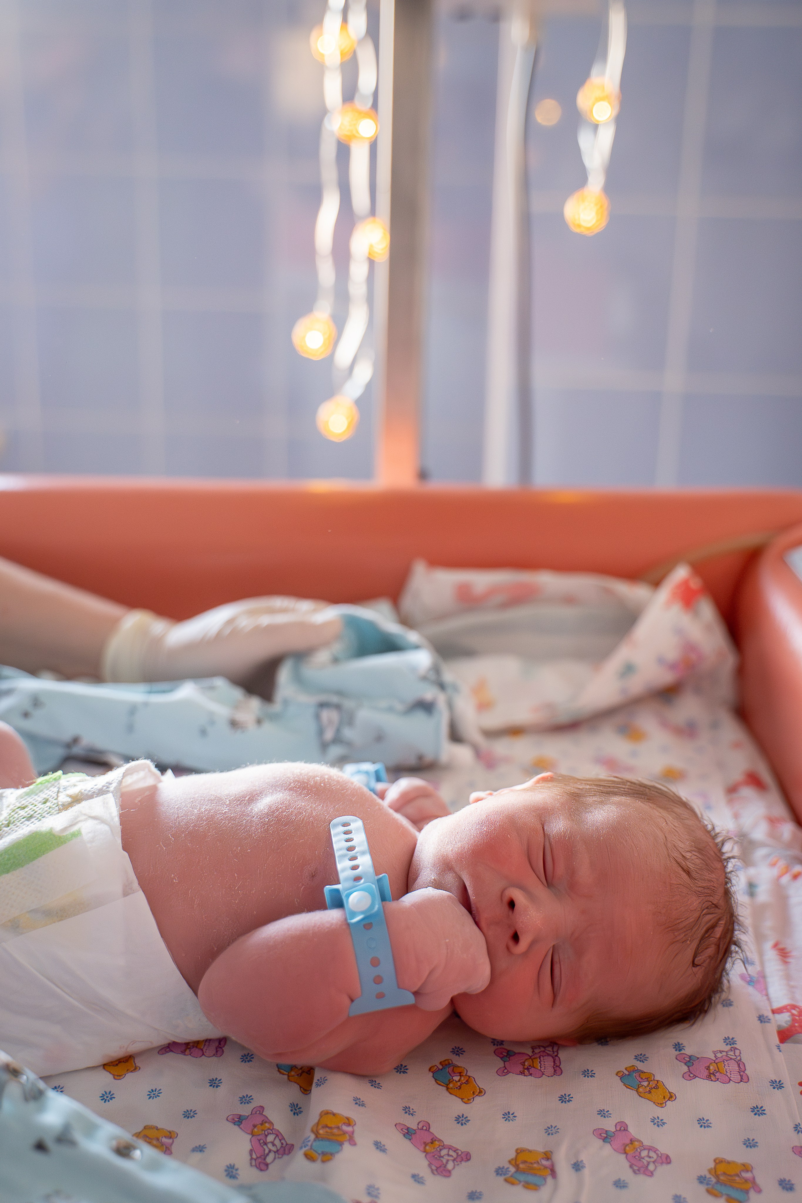 Давид. Фотограф на роды Москва Ольга Летучева