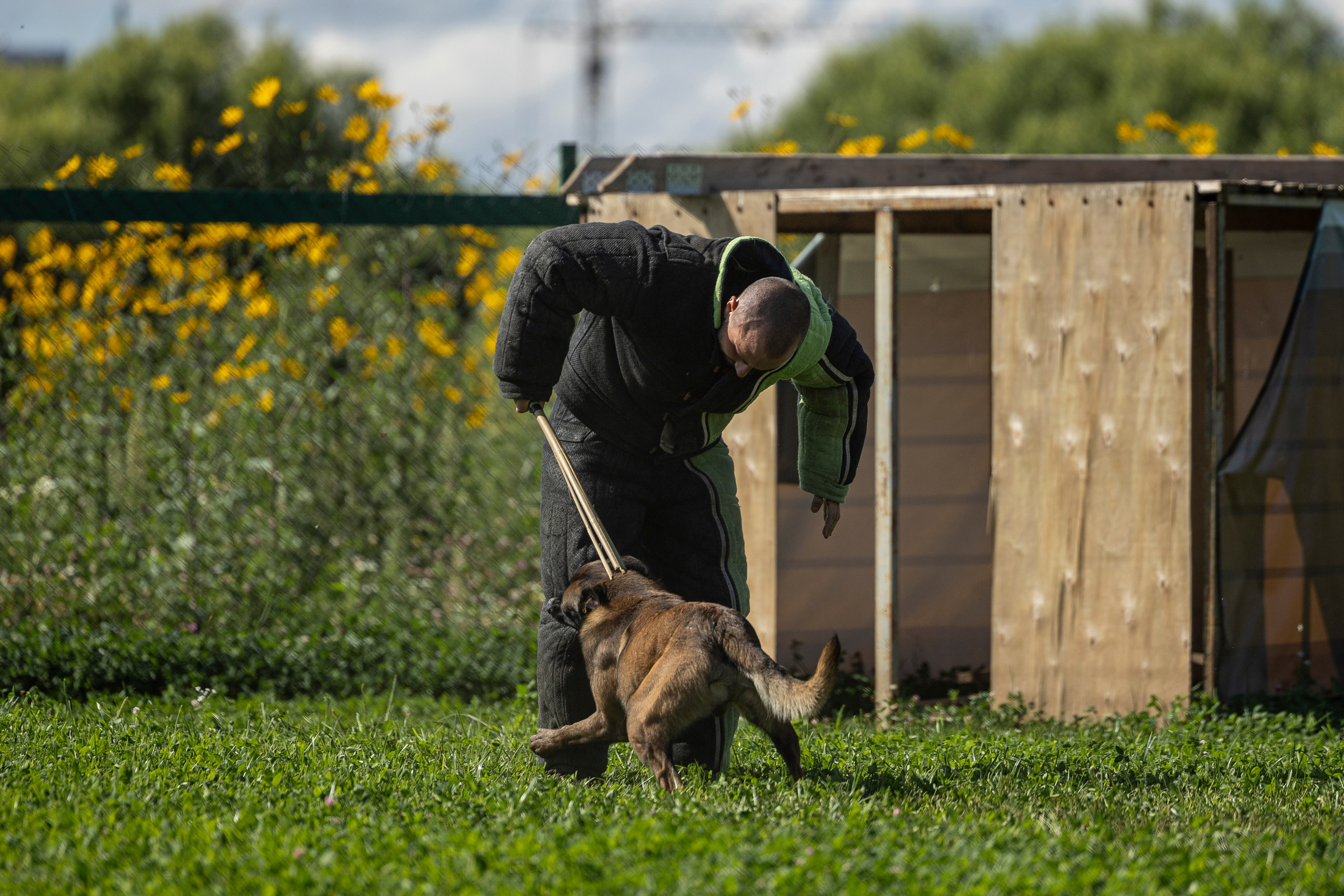 Соревнования по Мондьорингу г. Вологда 10-11.08.2024. Фотограф-анималист Анна Маринич