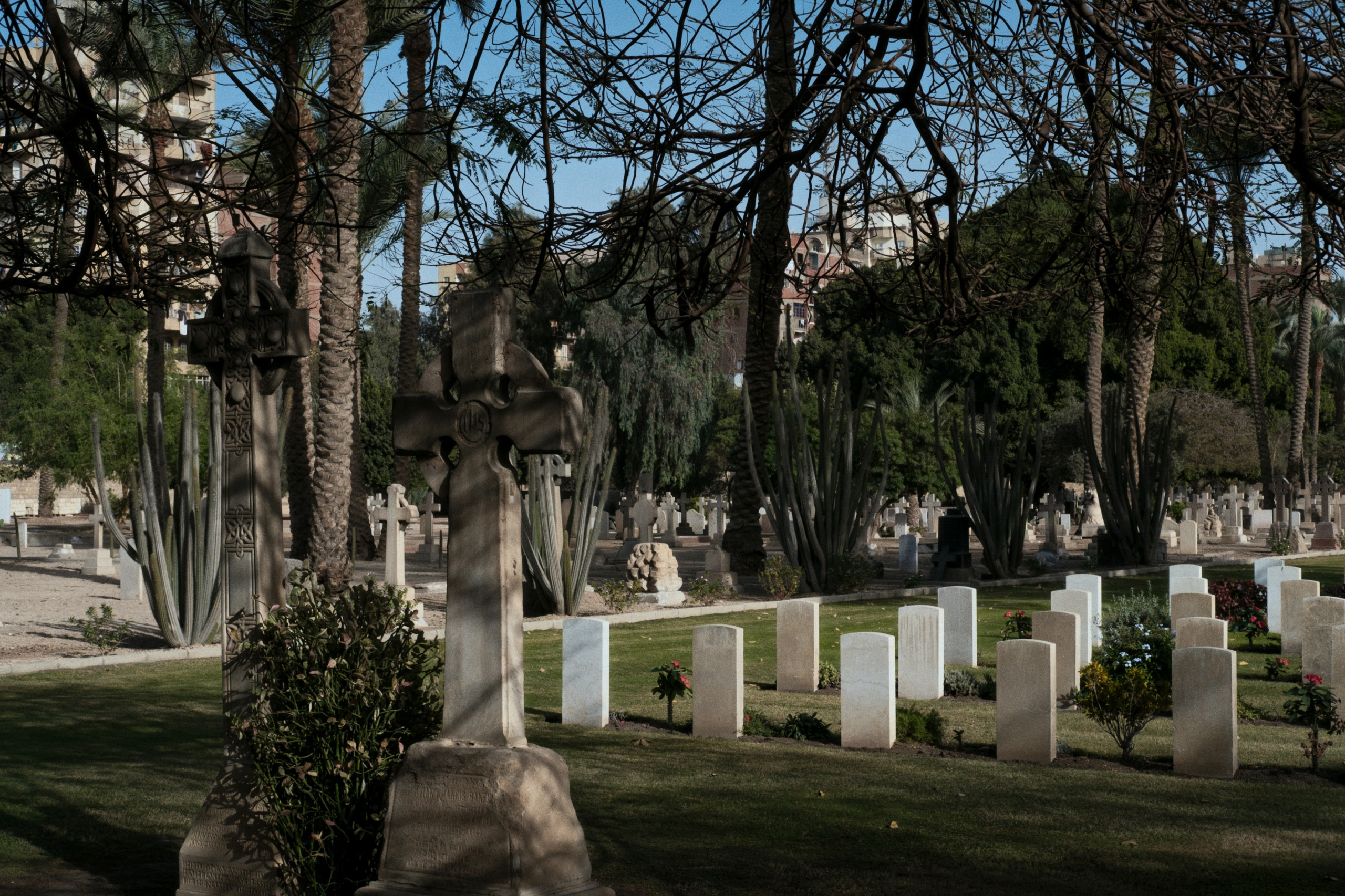 War Memorial Cemetery / Cairo, Egypt AW25. Фотограф Юрин Евгений