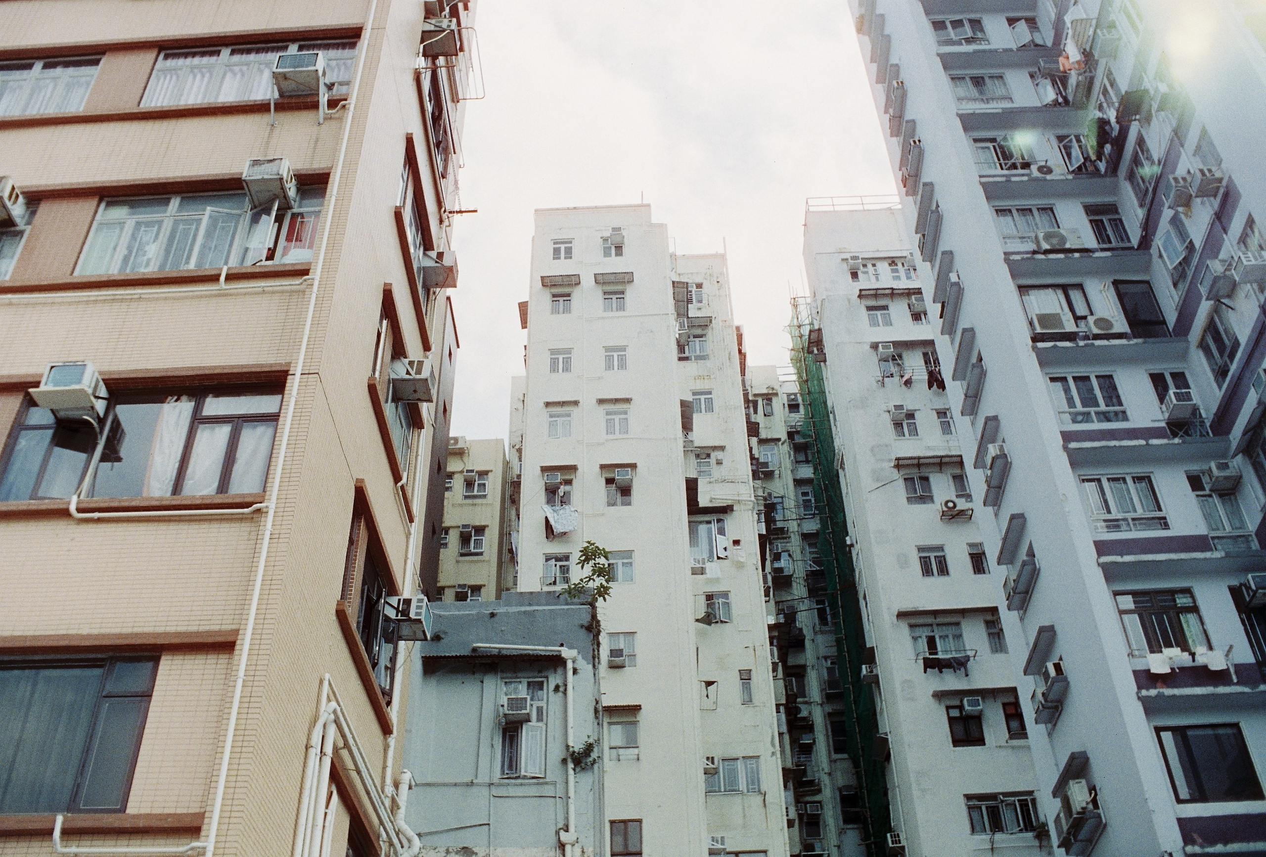 Пленочная фотография в Москве