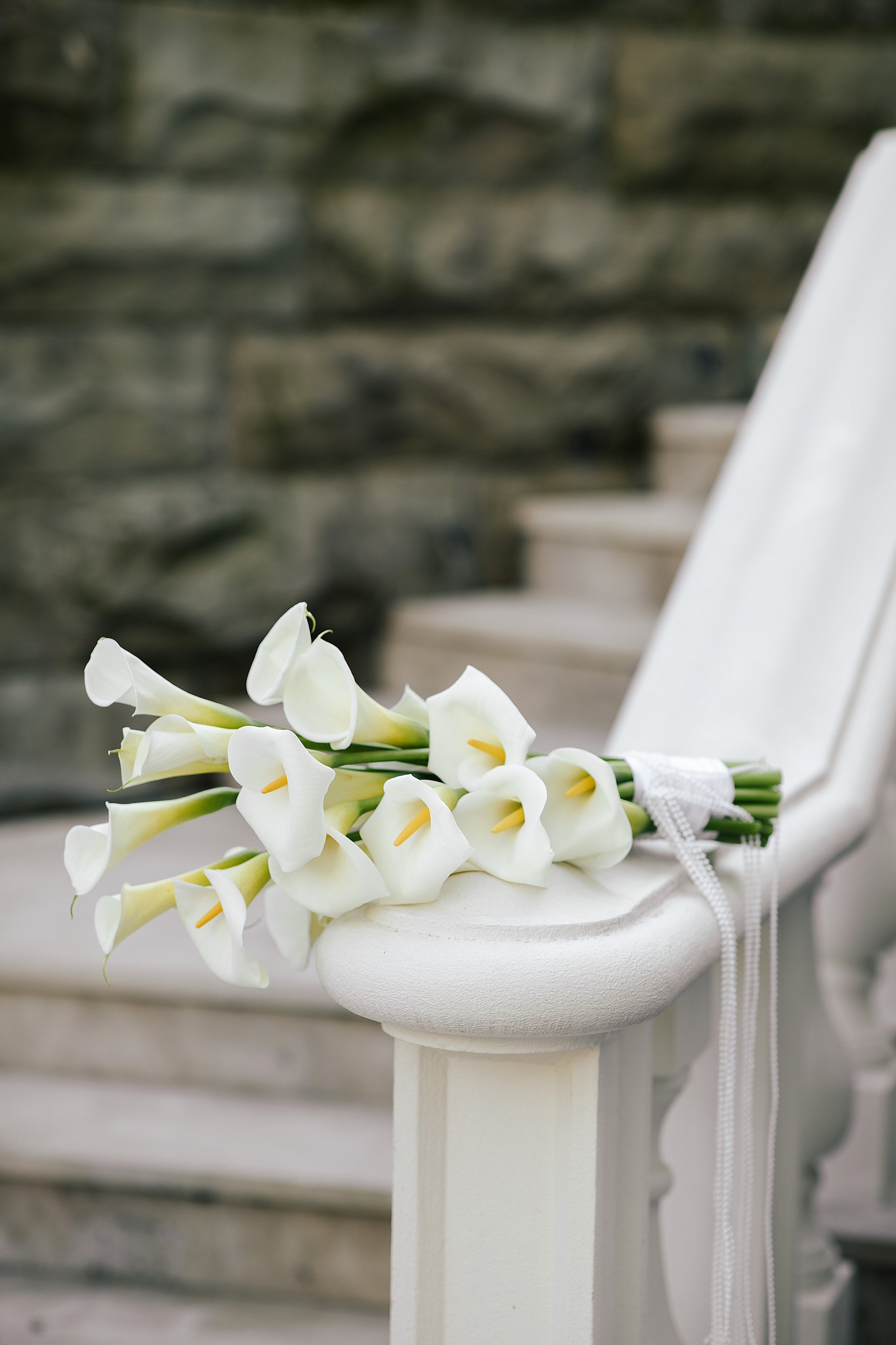 Сергей и Елена. Свадебный фотограф Ростов-на-Дону Виолетта veslers.ph