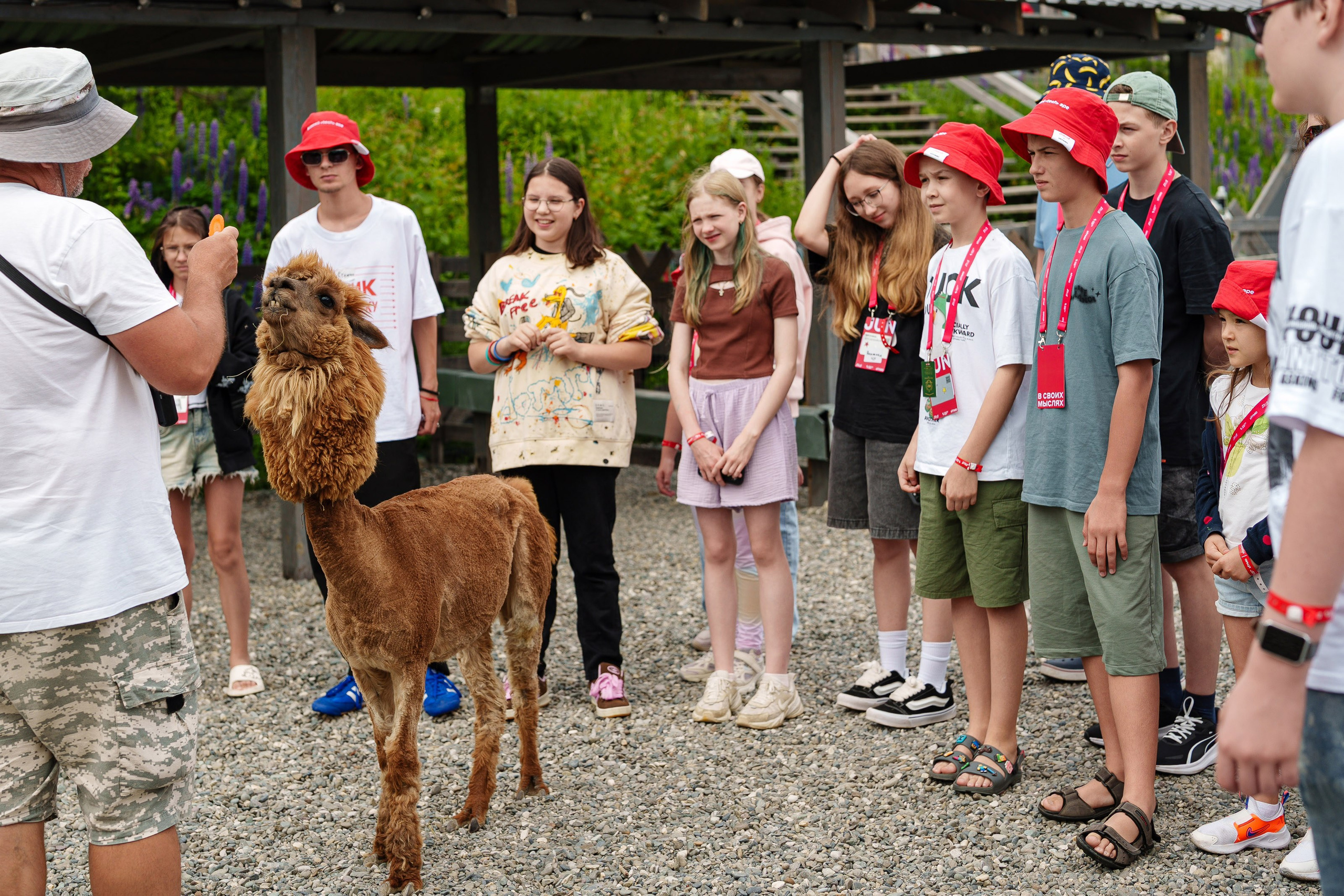 South HUB Family. South HUB