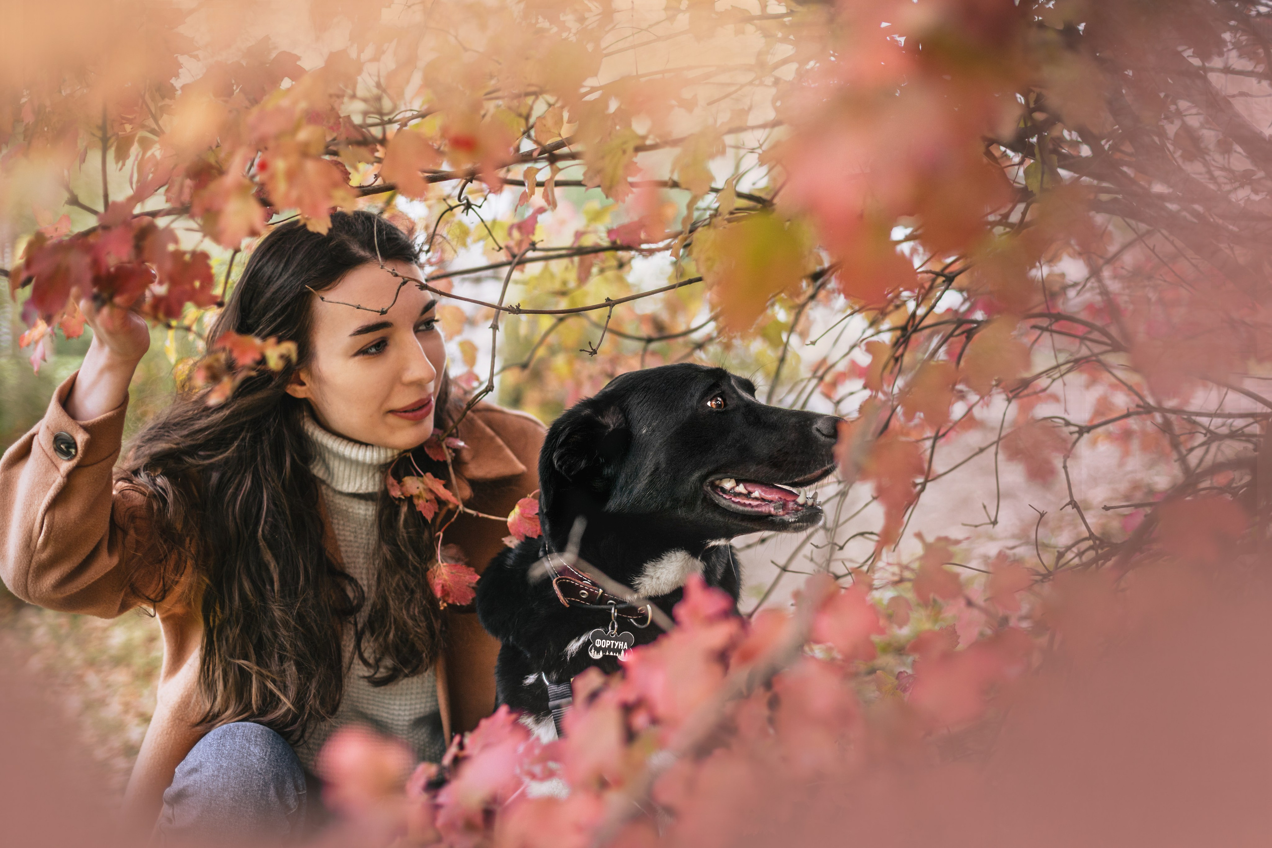 Юля и Фортуна. Фотограф-анималист Татьяна Степанова