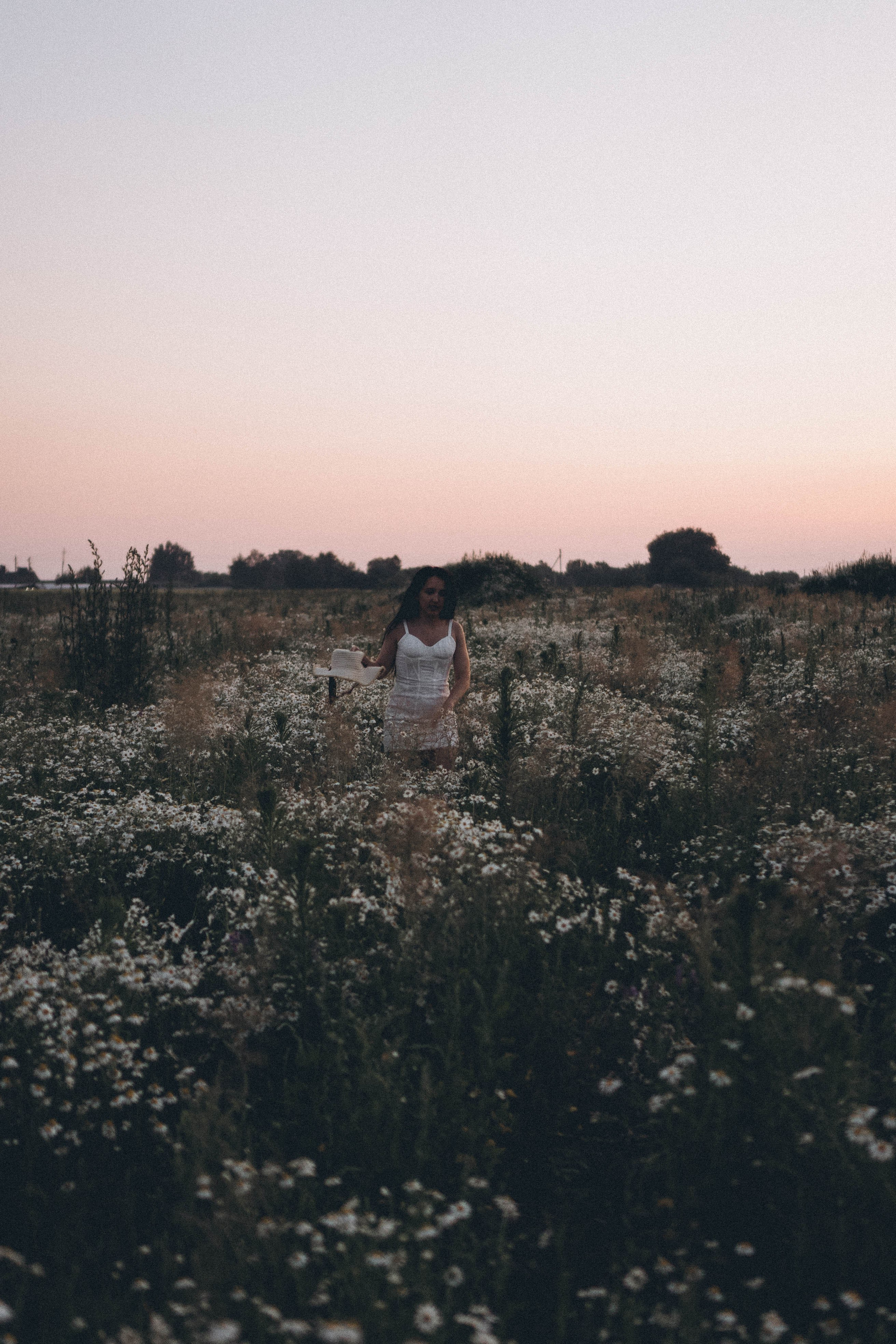 Ромашковое поле. Профессиональный фотограф, Санкт-Петербург — Виктория Богомолова
