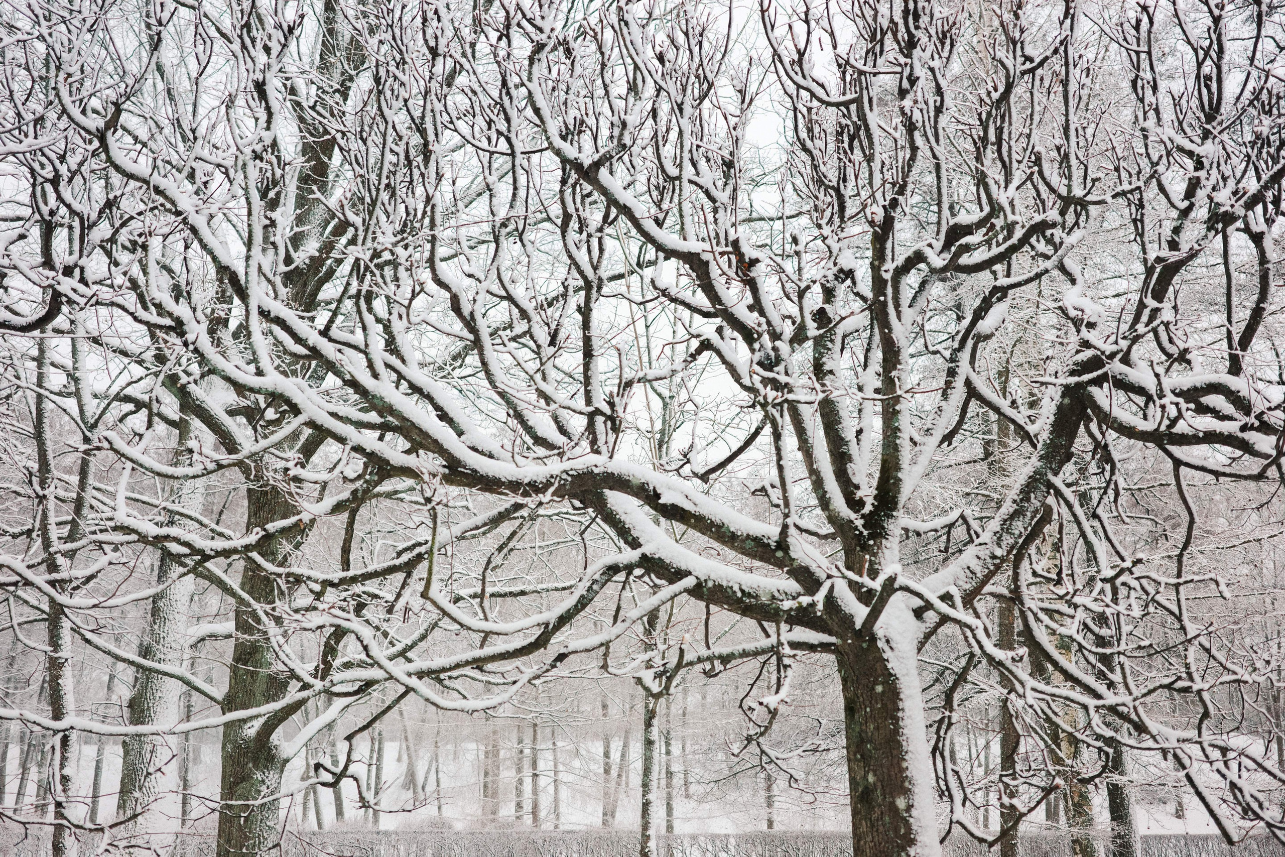 2025.02. Фотограф Алексей Алексеев