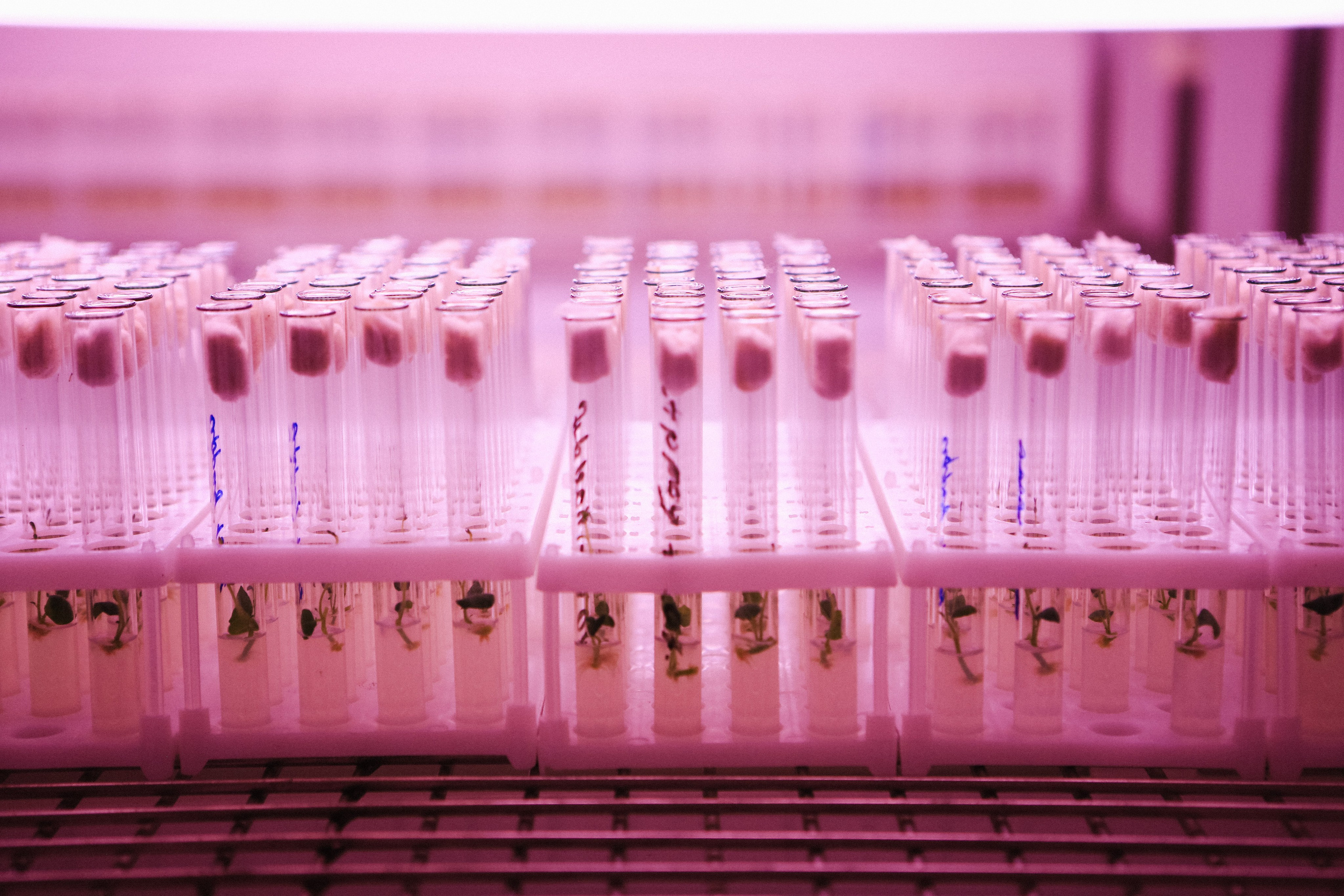 Пресс-тур для Неизвестного Кавказа. Свадебный и портретный фотограф в Пятигорске, КМВ — Власова Юля