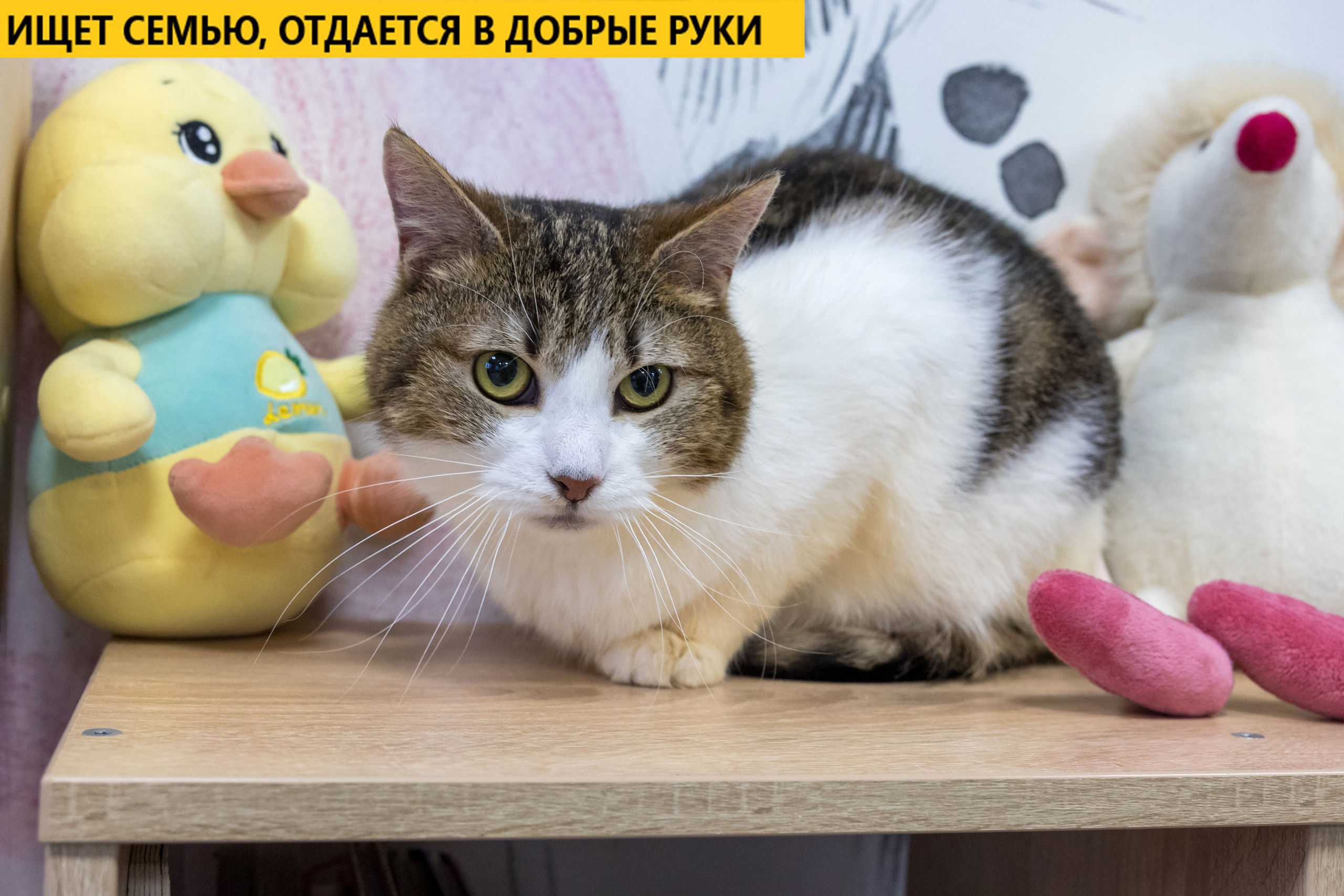 Рекламная съемка в Москве. Геннадий Степанов —фотограф в Москве