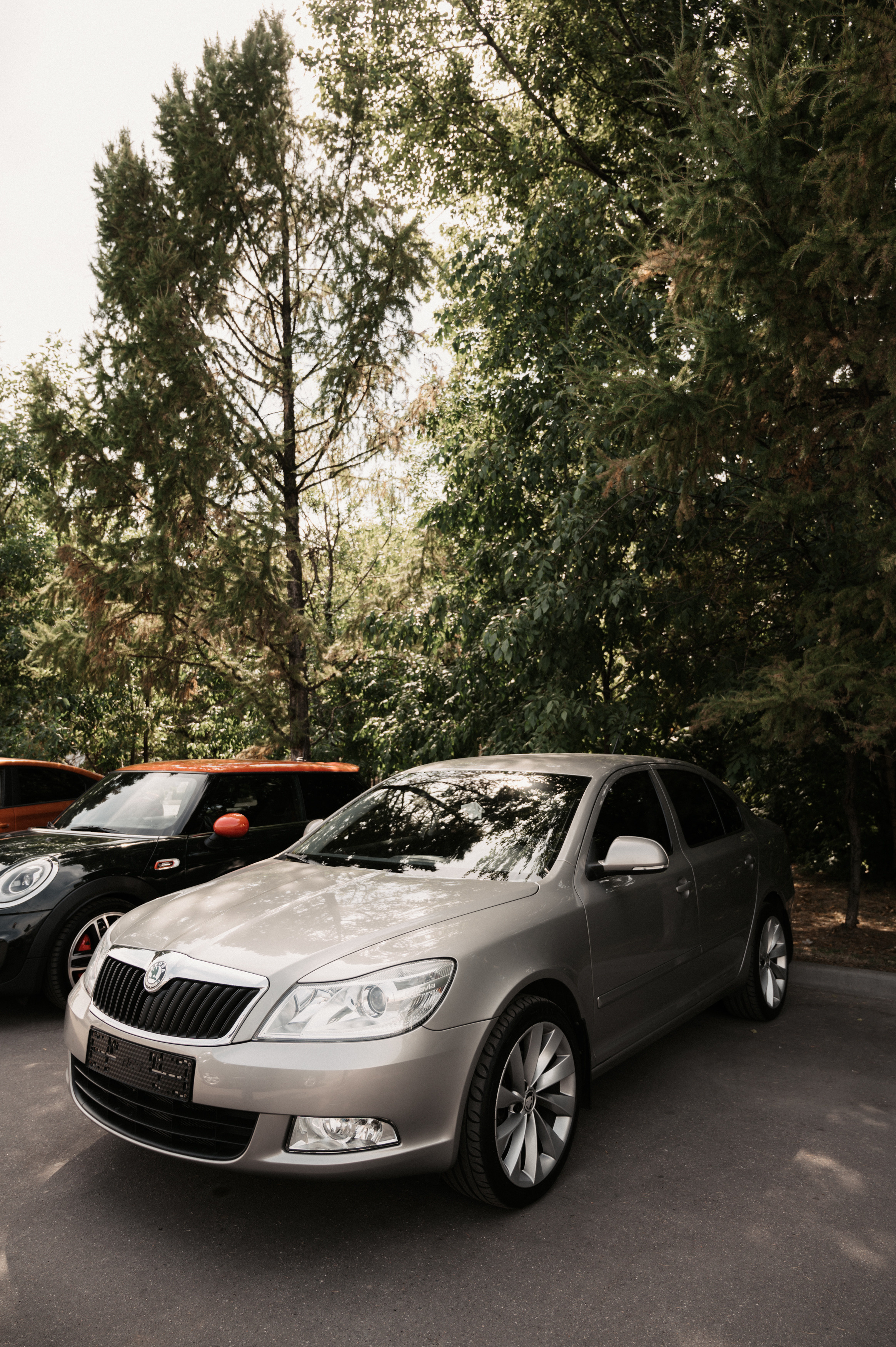 Макар и Катя. Свадебный фотограф Александр Давыдов