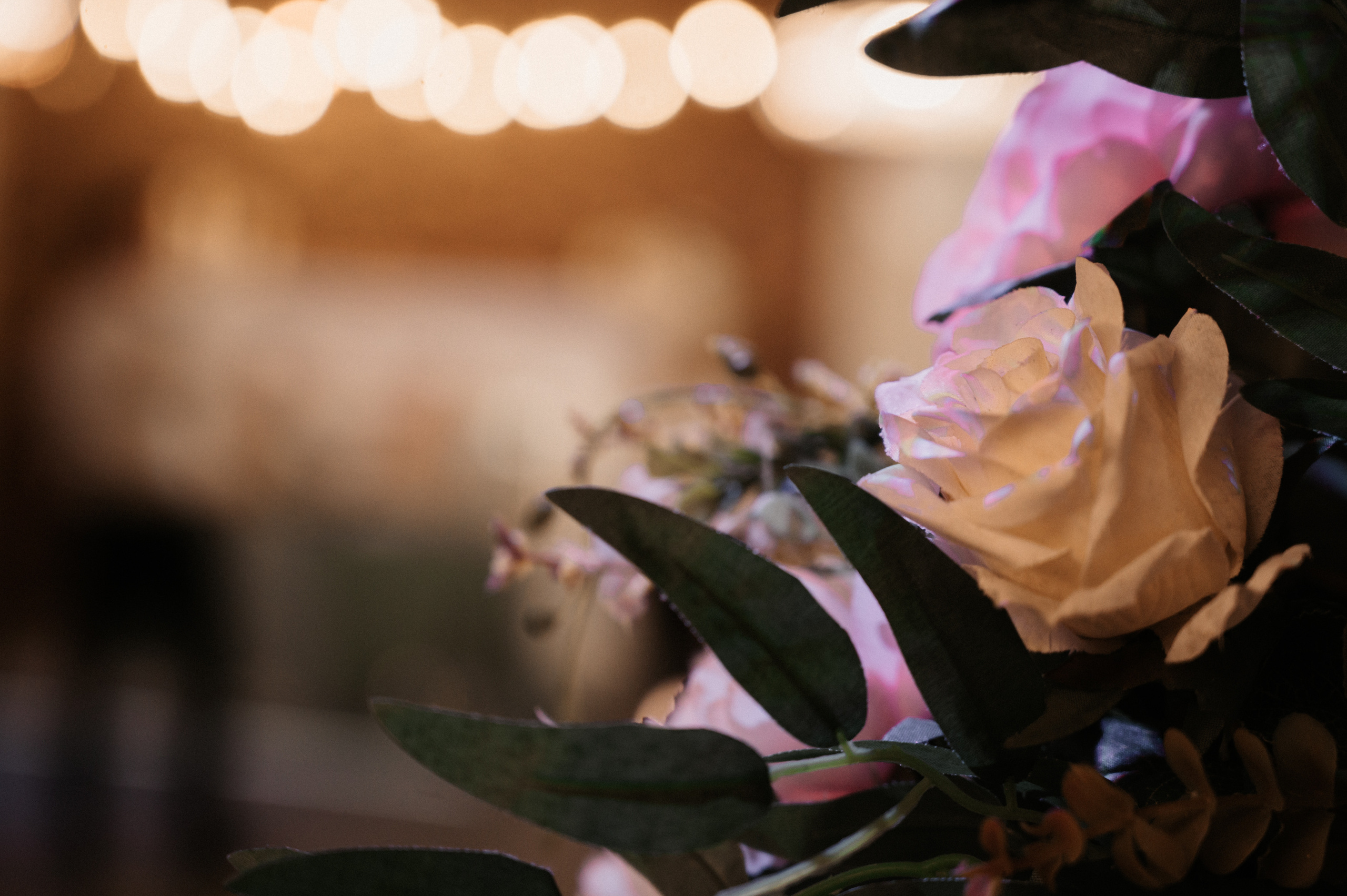 Макар и Катя. Свадебный фотограф Александр Давыдов