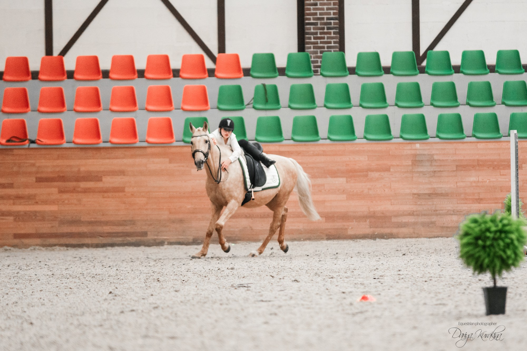 8-я международная выставка Конная Россия. Конный фотограф Куракина Дарья • Фотосессии с лошадьми