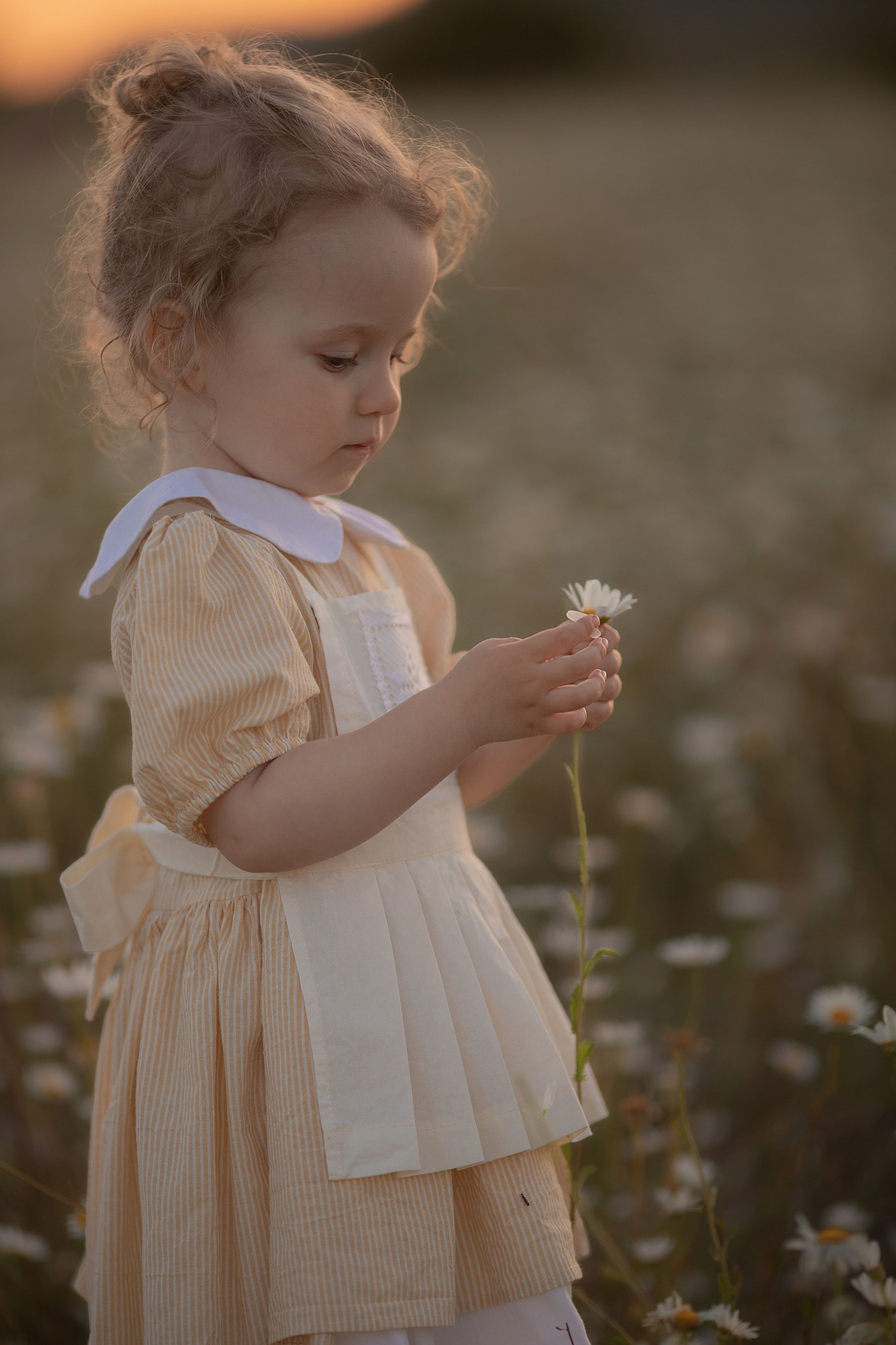В ромашках. Семейный и детский фотограф в Крыму Екатерина Швец